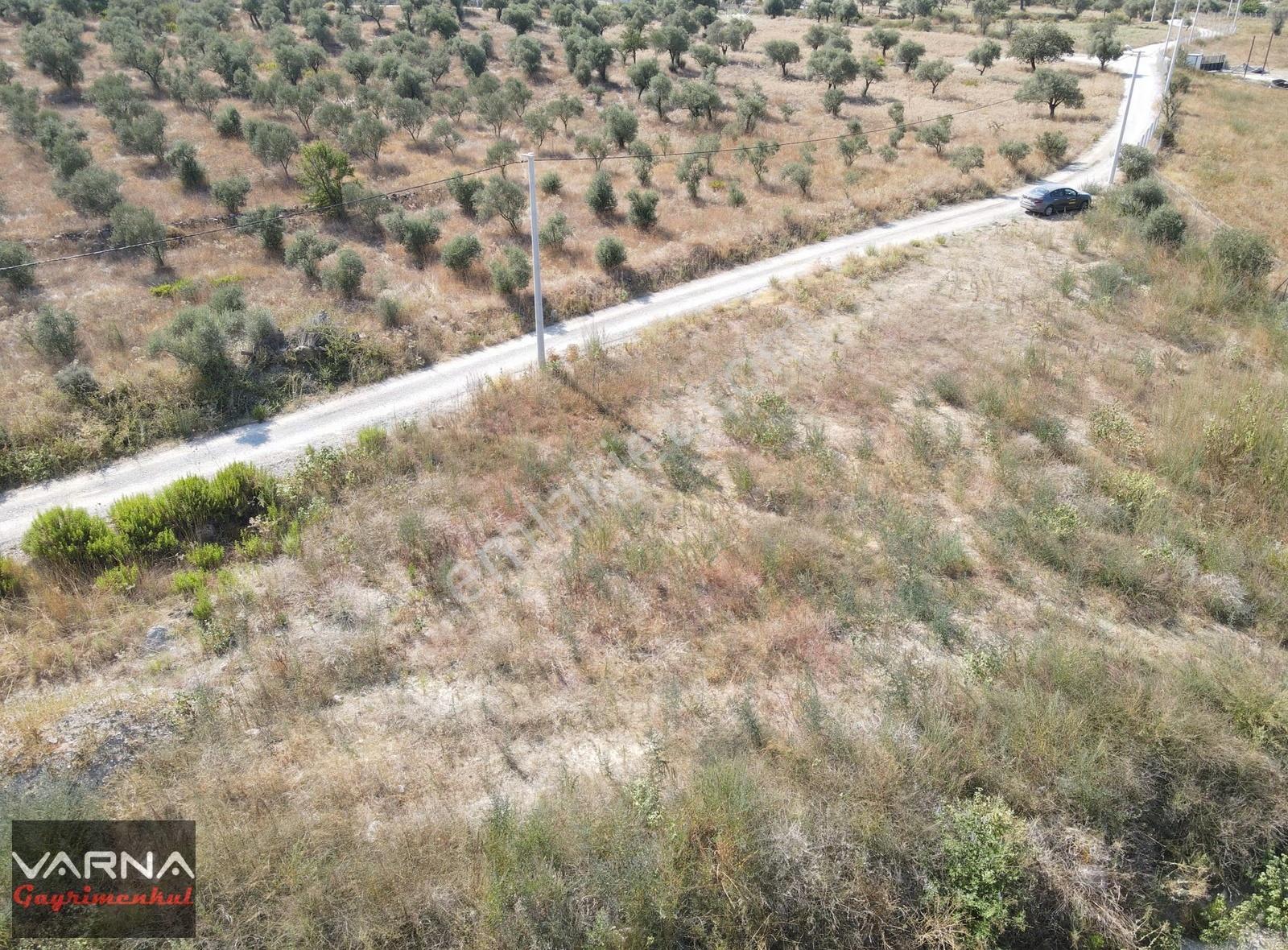 İzmir Menderes Ataköyde Satılık Tek Tapu 1.600 M2 Muhteşem Bahçe - Görsel 8