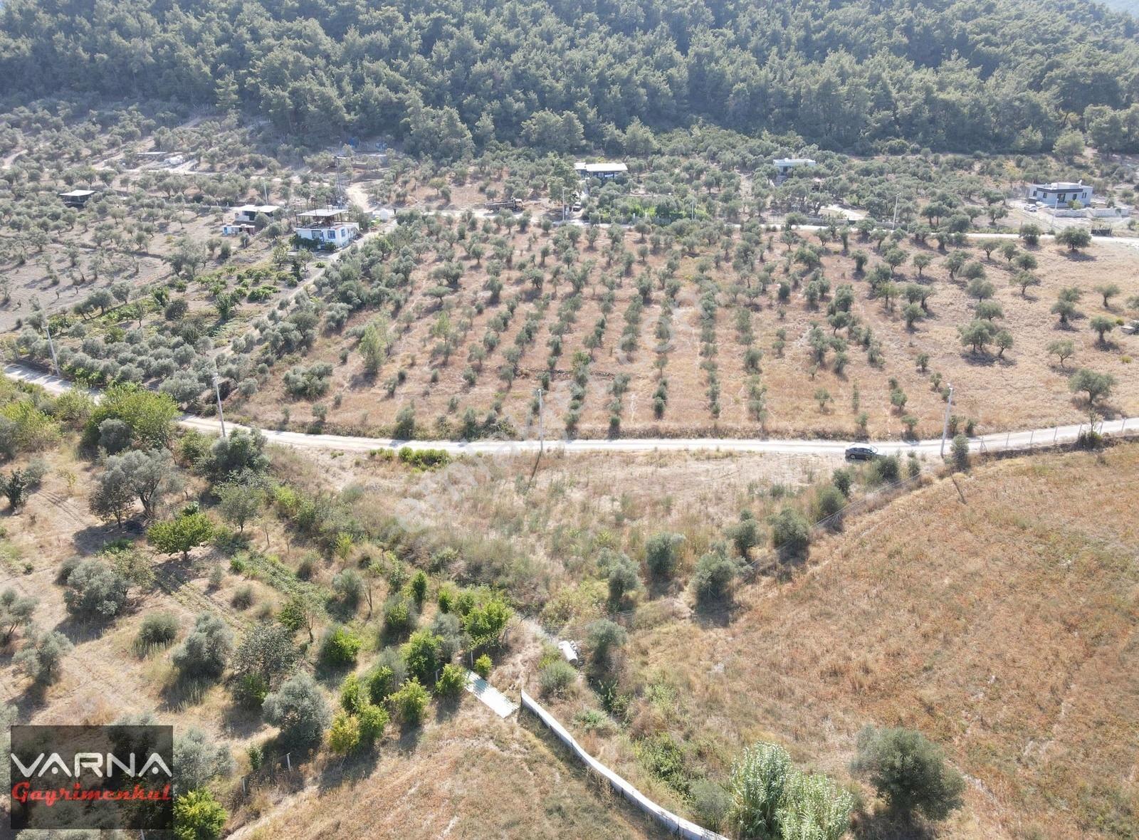 İzmir Menderes Ataköyde Satılık Tek Tapu 1.600 M2 Muhteşem Bahçe - Görsel 24