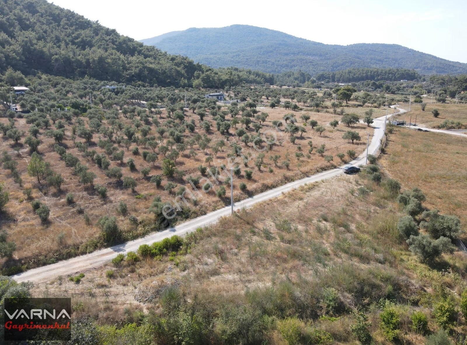 İzmir Menderes Ataköyde Satılık Tek Tapu 1.600 M2 Muhteşem Bahçe - Görsel 16