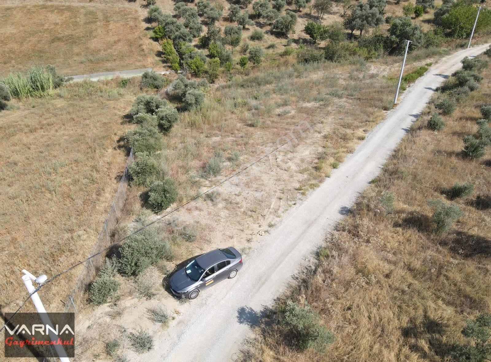 İzmir Menderes Ataköyde Satılık Tek Tapu 1.600 M2 Muhteşem Bahçe - Görsel 22