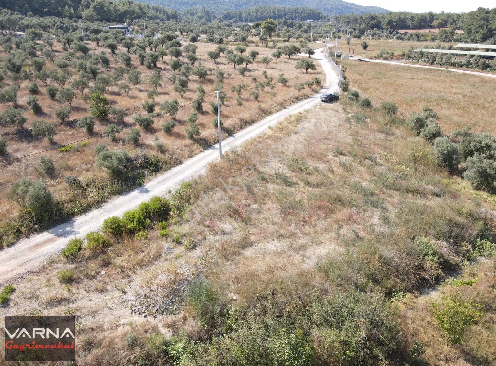 İzmir Menderes Ataköyde Satılık Tek Tapu 1.600 M2 Muhteşem Bahçe - Görsel 21