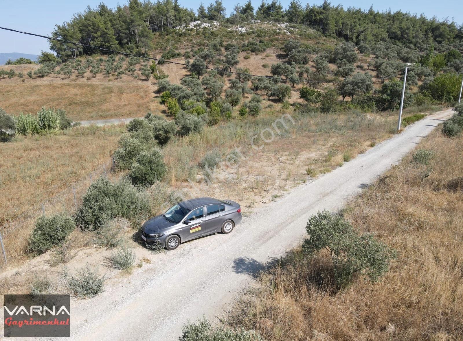 İzmir Menderes Ataköyde Satılık Tek Tapu 1.600 M2 Muhteşem Bahçe - Görsel 23