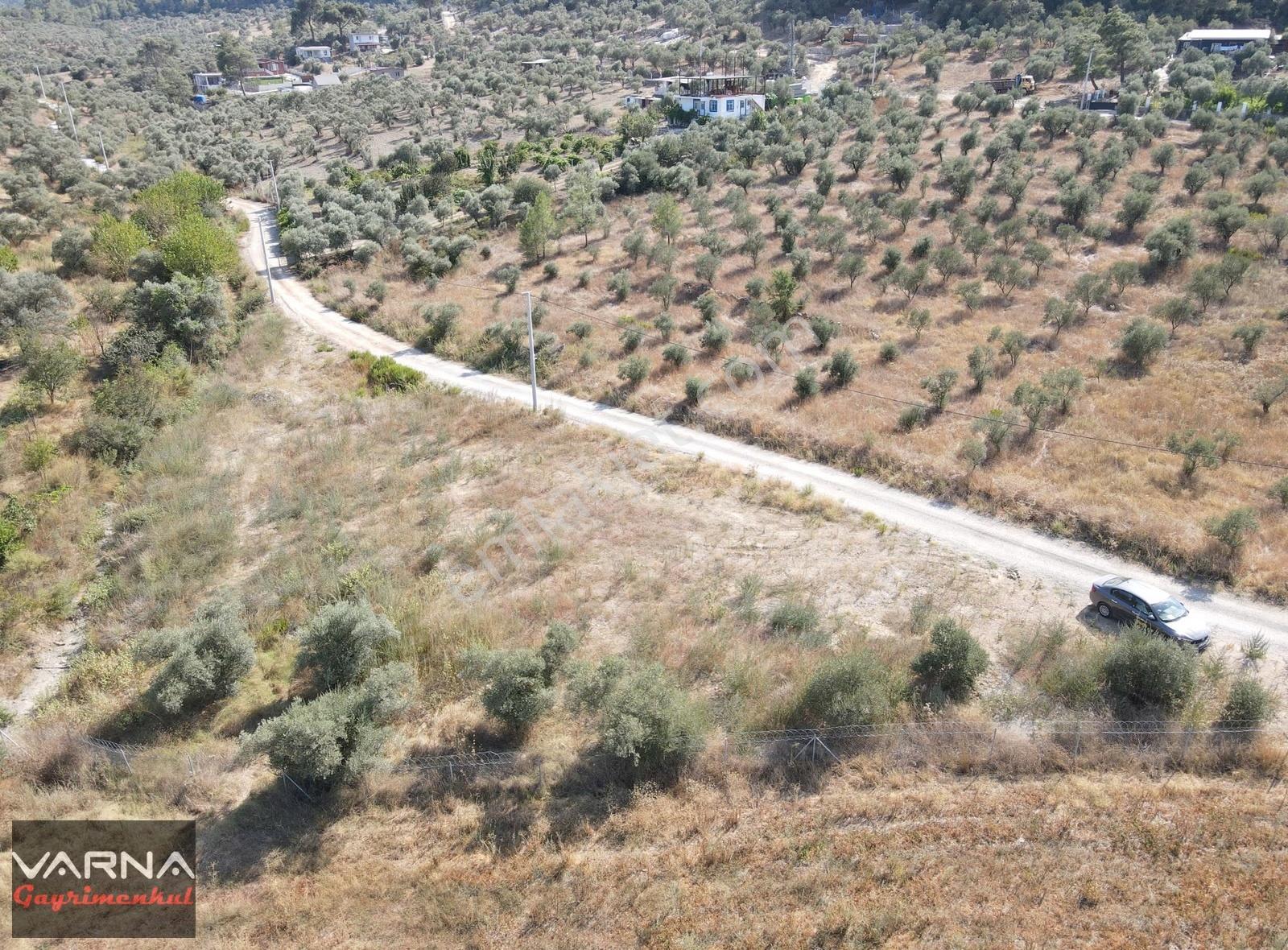 İzmir Menderes Ataköyde Satılık Tek Tapu 1.600 M2 Muhteşem Bahçe - Görsel 2