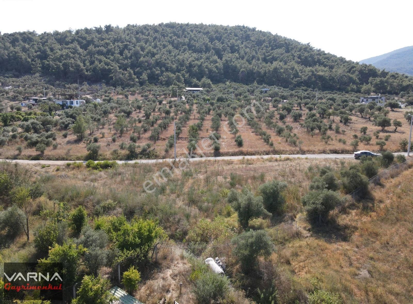 İzmir Menderes Ataköyde Satılık Tek Tapu 1.600 M2 Muhteşem Bahçe - Görsel 10