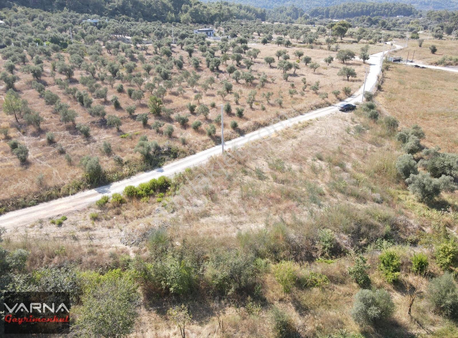 İzmir Menderes Ataköyde Satılık Tek Tapu 1.600 M2 Muhteşem Bahçe - Görsel 7