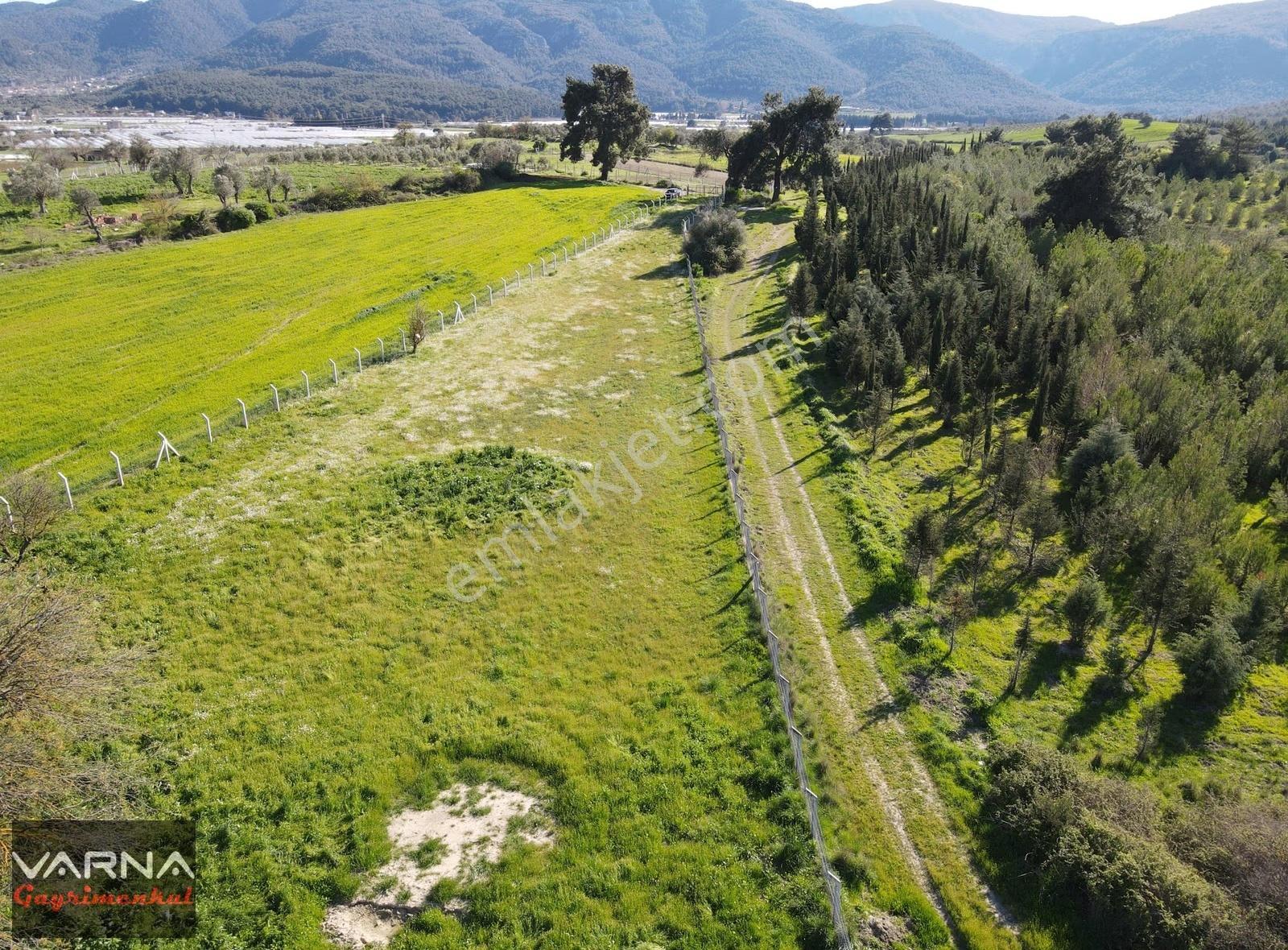 Menderes Değirmenderede Satılık Tek Tapu 2,000 M2 Bahçe - Görsel 2