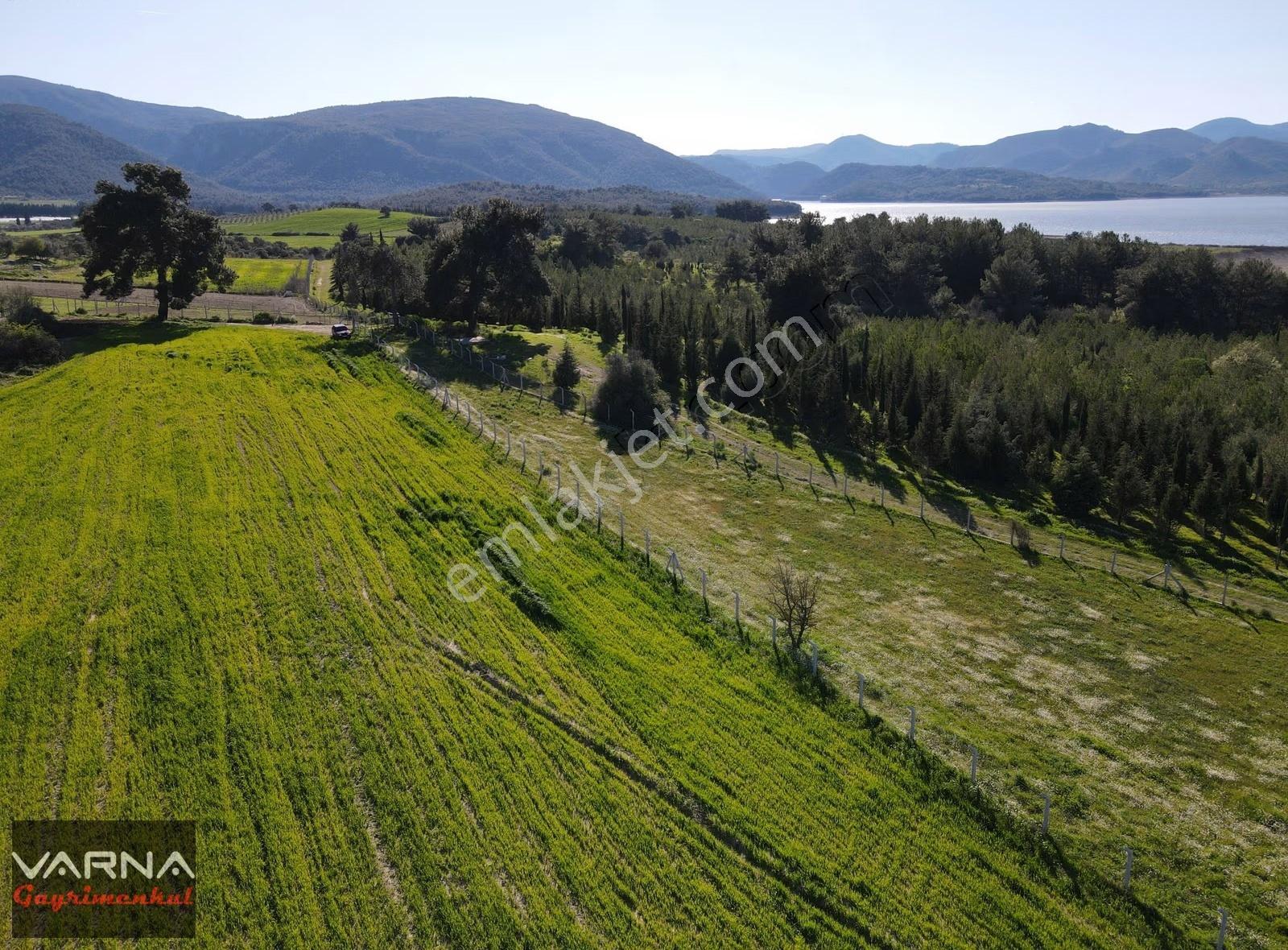Menderes Değirmenderede Satılık Tek Tapu 2,000 M2 Bahçe - Görsel 13