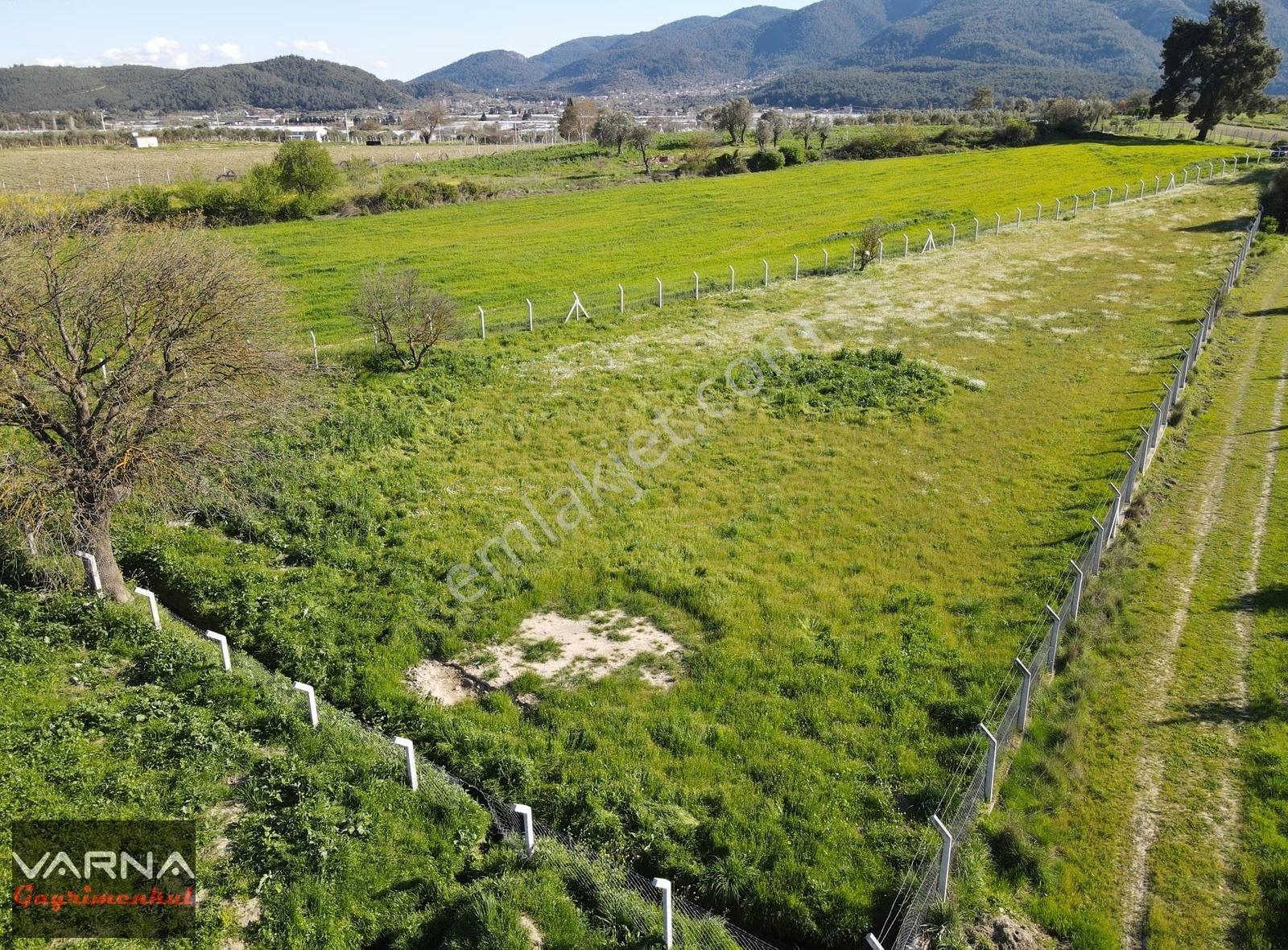 Menderes Değirmenderede Satılık Tek Tapu 2,000 M2 Bahçe - Görsel 3
