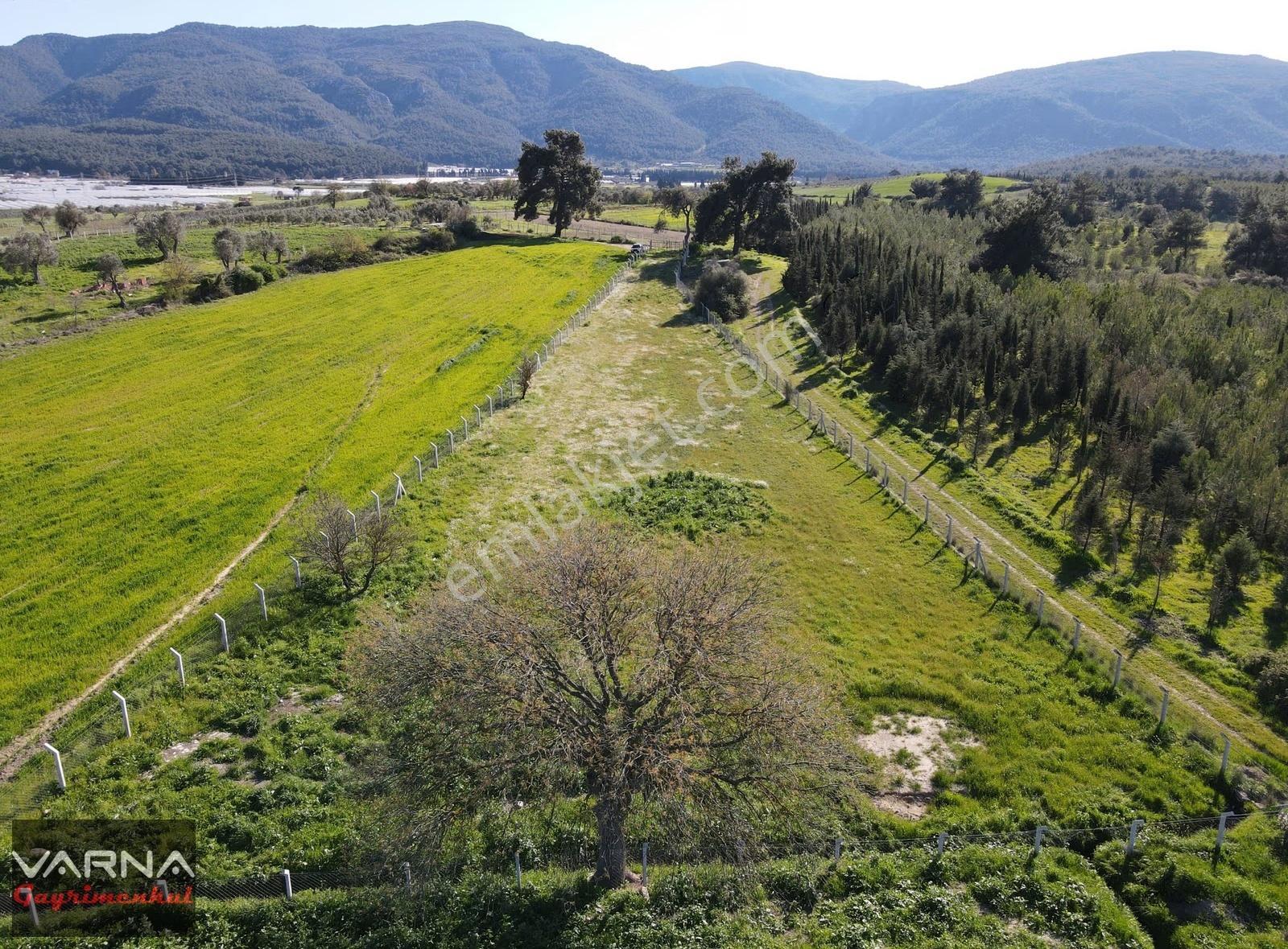 Menderes Değirmenderede Satılık Tek Tapu 2,000 M2 Bahçe