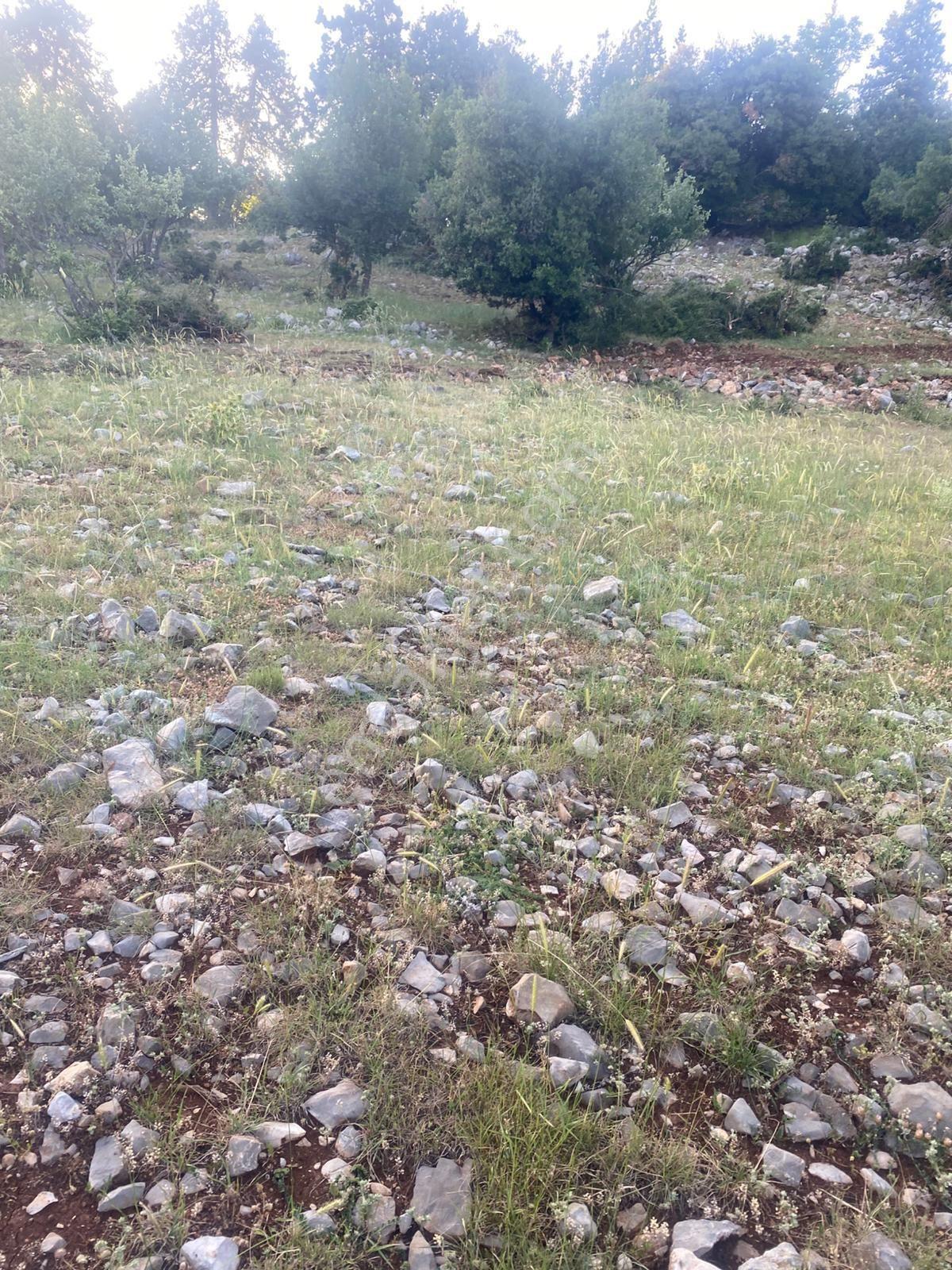Asyadan Yatırmlık Parsel Toroslar Kurudere Mevkii - Görsel 11