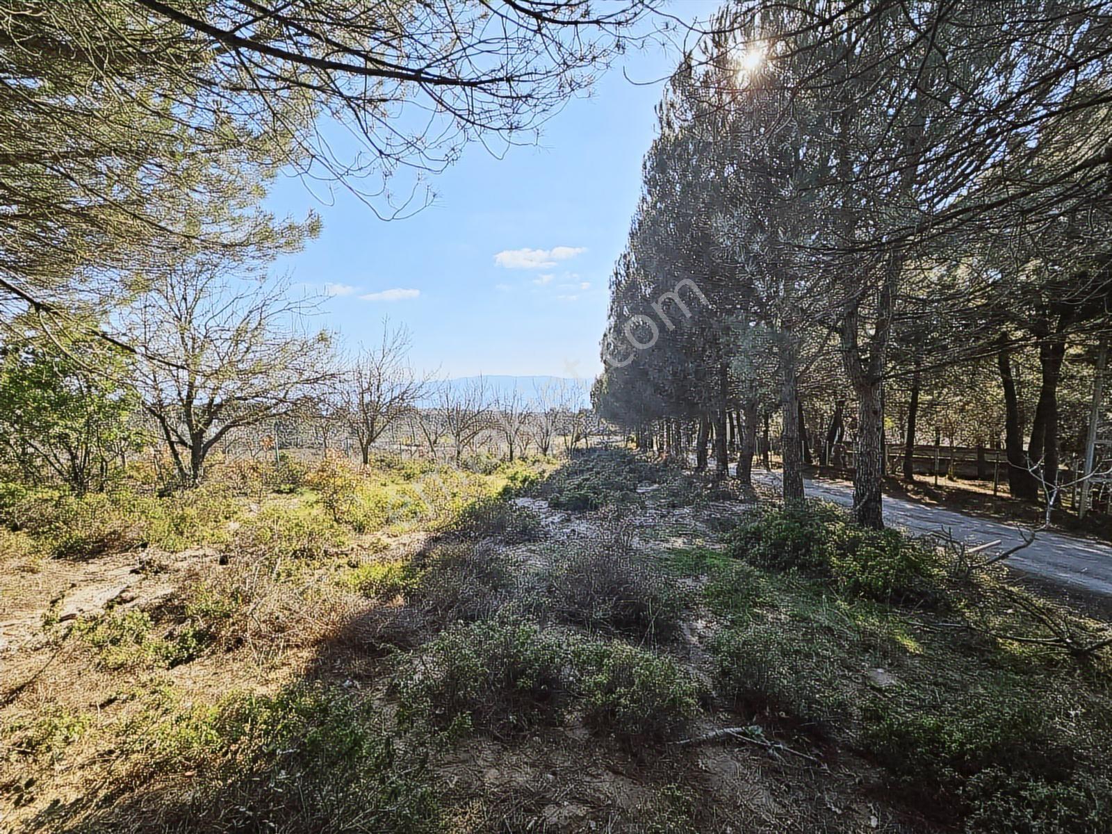 Ay Emlak'tan Armutlu Mecidiyeköy De İmarlı 675 M2 Arsa