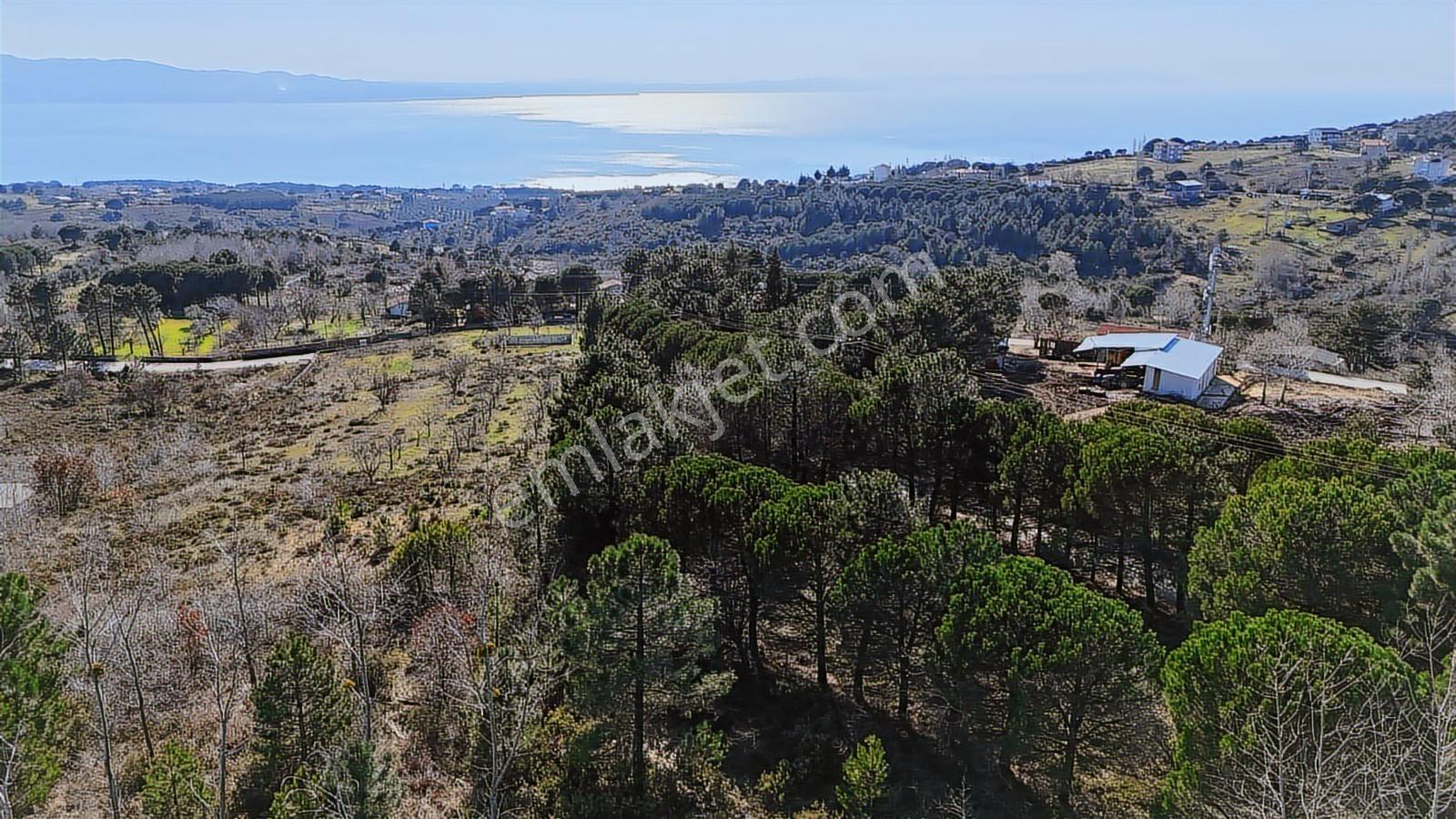 Ay Emlak'tan Armutlu Mecidiyeköy De İmarlı 675 M2 Arsa - Görsel 21