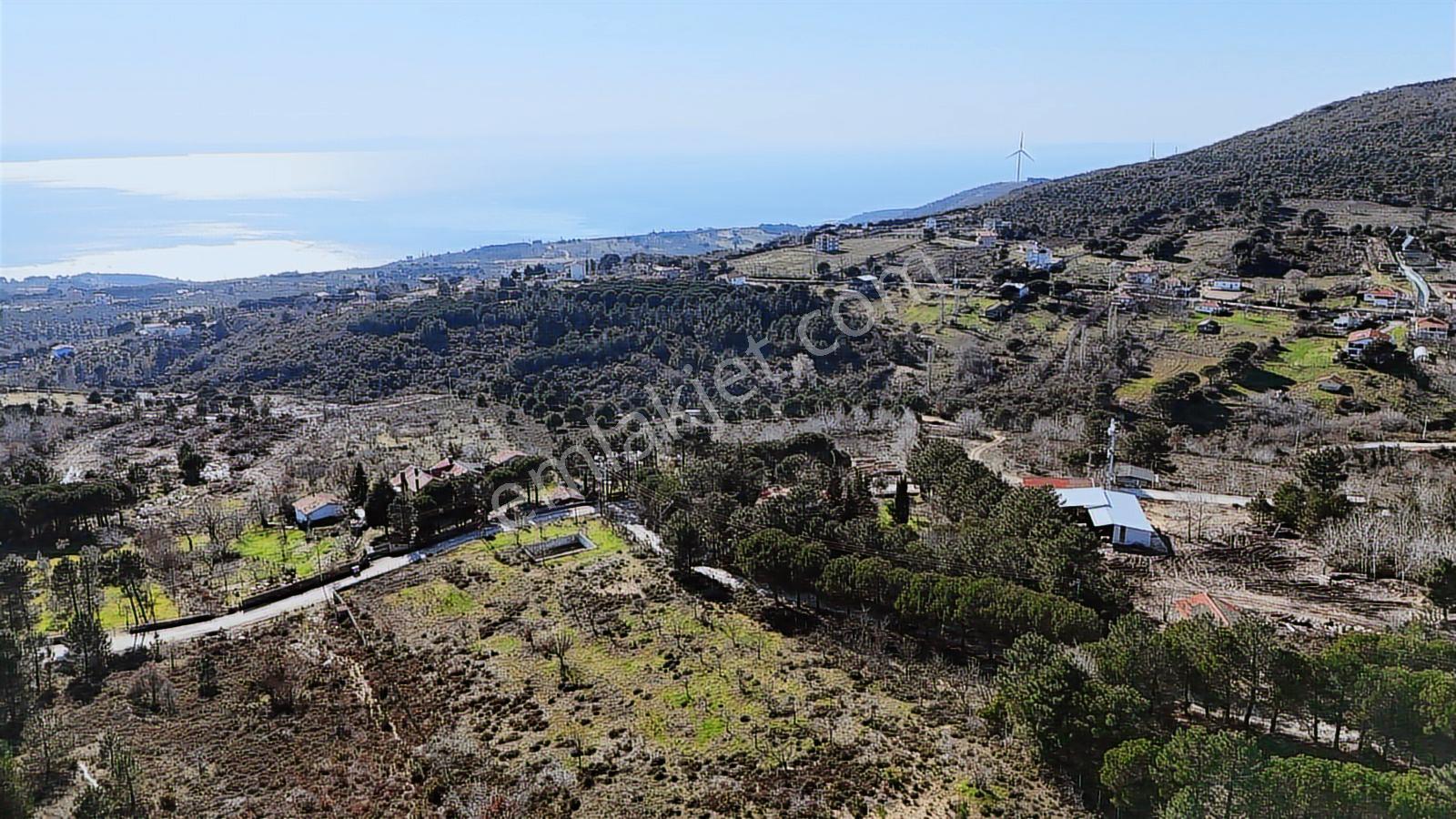 Ay Emlak'tan Armutlu Mecidiyeköy De İmarlı 675 M2 Arsa - Görsel 4