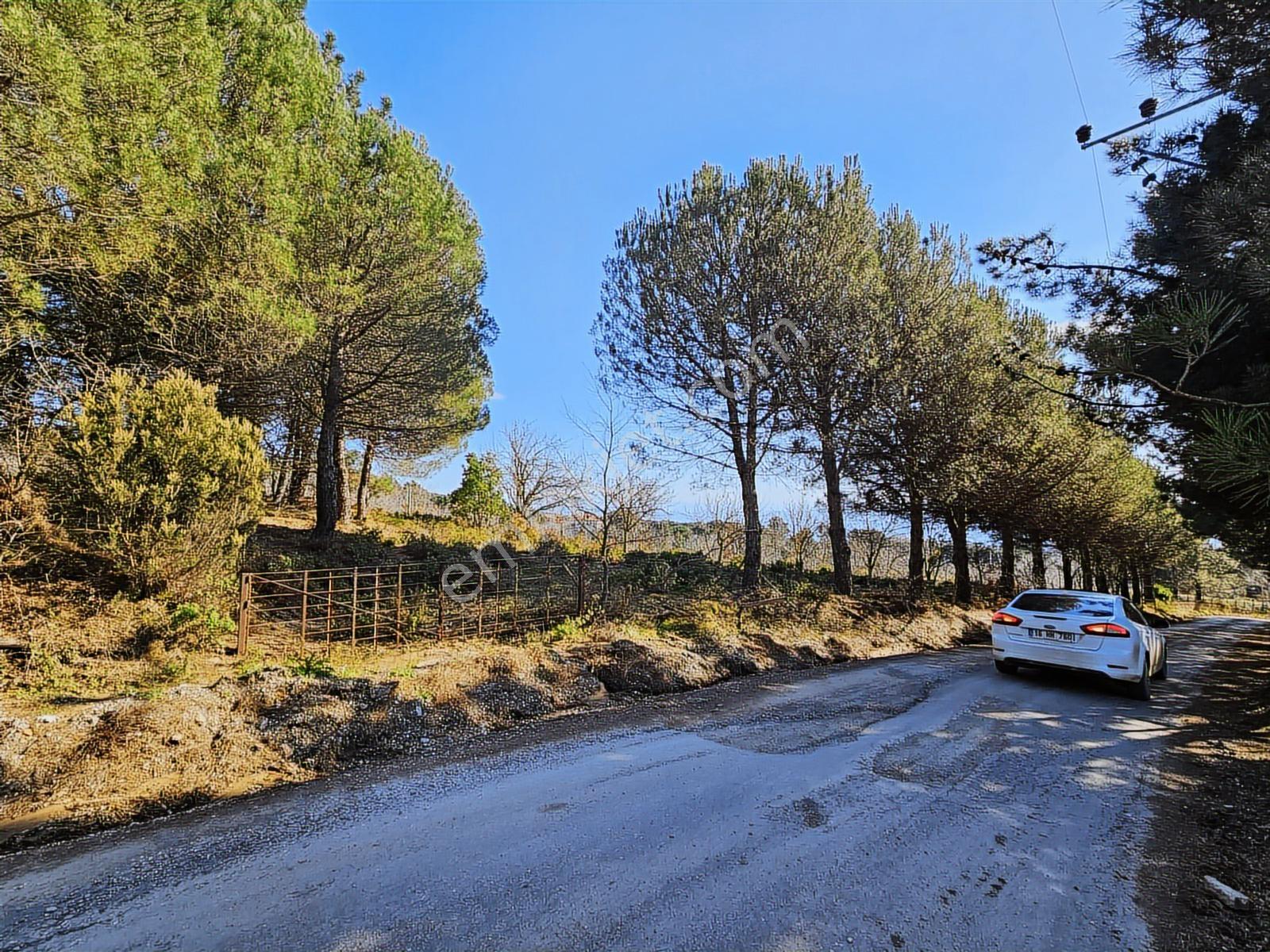 Ay Emlak'tan Armutlu Mecidiyeköy De İmarlı 675 M2 Arsa - Görsel 22