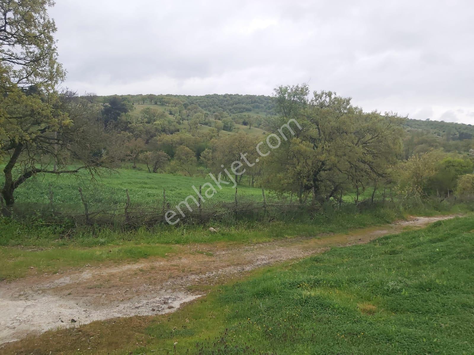 Balıkesir İvrindi Mallıca Mahallesi 6288m2 Satılık Tarla - Görsel 10