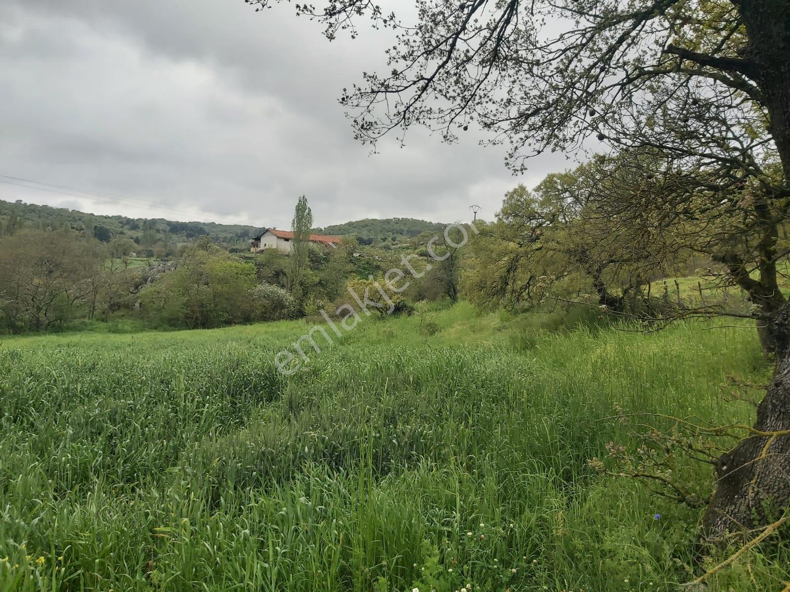 Balıkesir İvrindi Mallıca Mahallesi 6288m2 Satılık Tarla - Görsel 7
