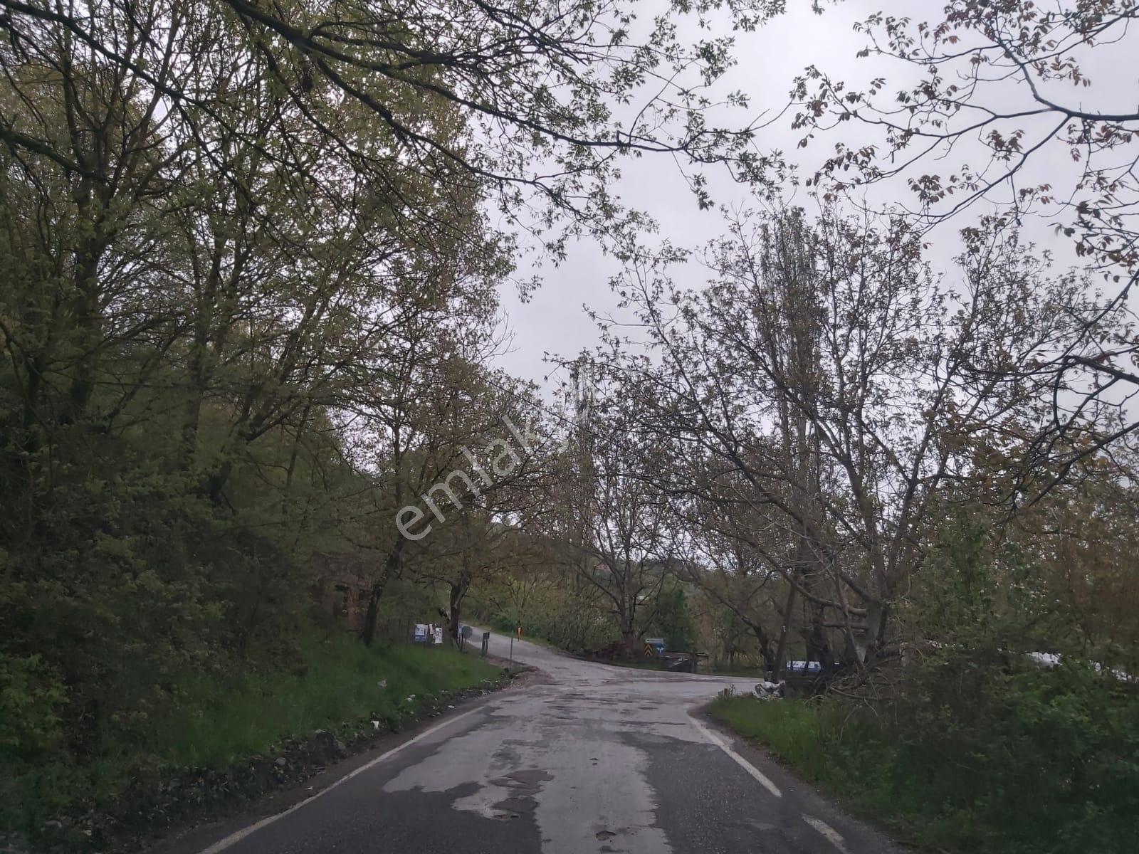 Balıkesir İvrindi Mallıca Mahallesi 6288m2 Satılık Tarla - Görsel 29