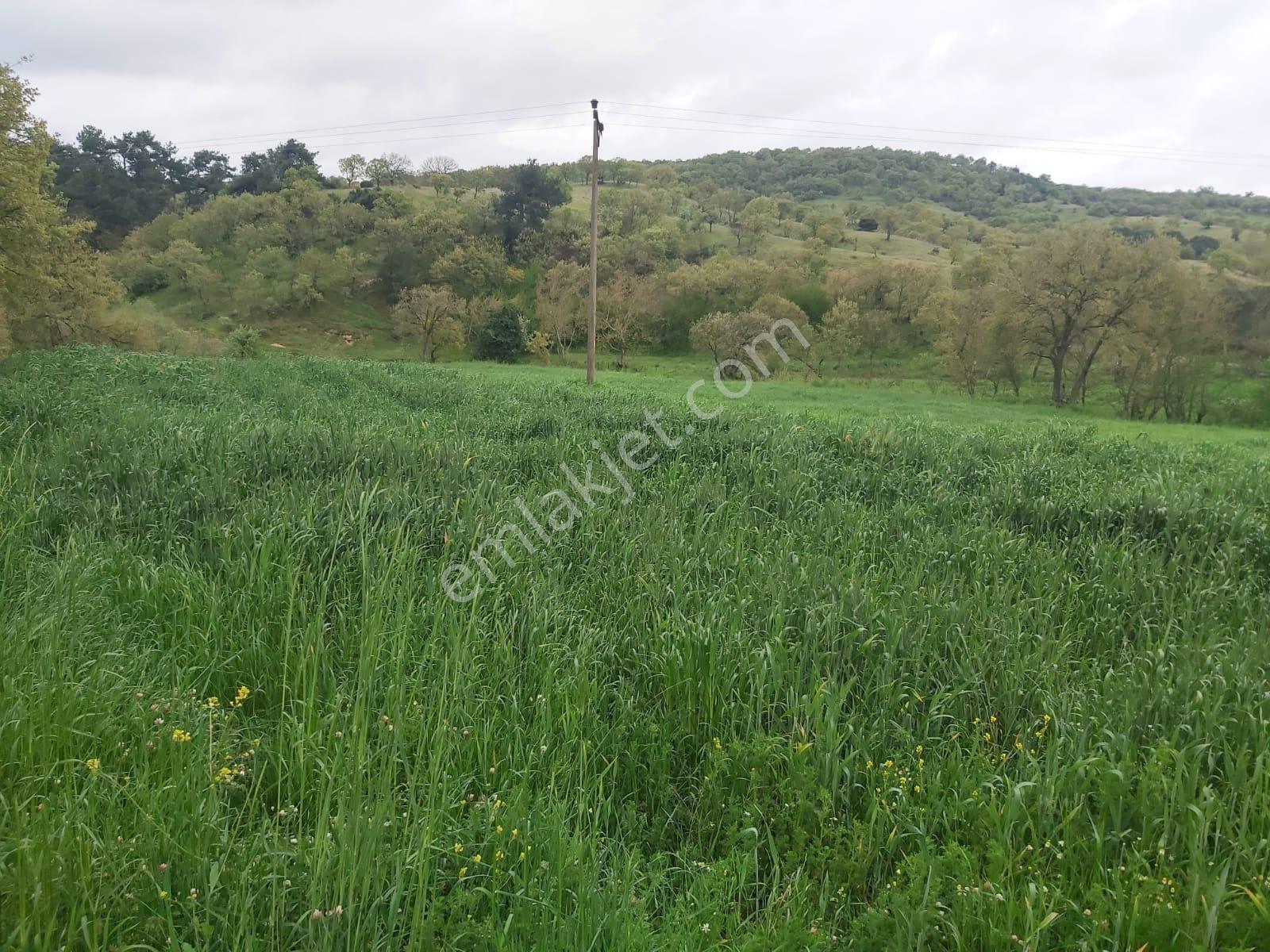 Balıkesir İvrindi Mallıca Mahallesi 6288m2 Satılık Tarla - Görsel 19