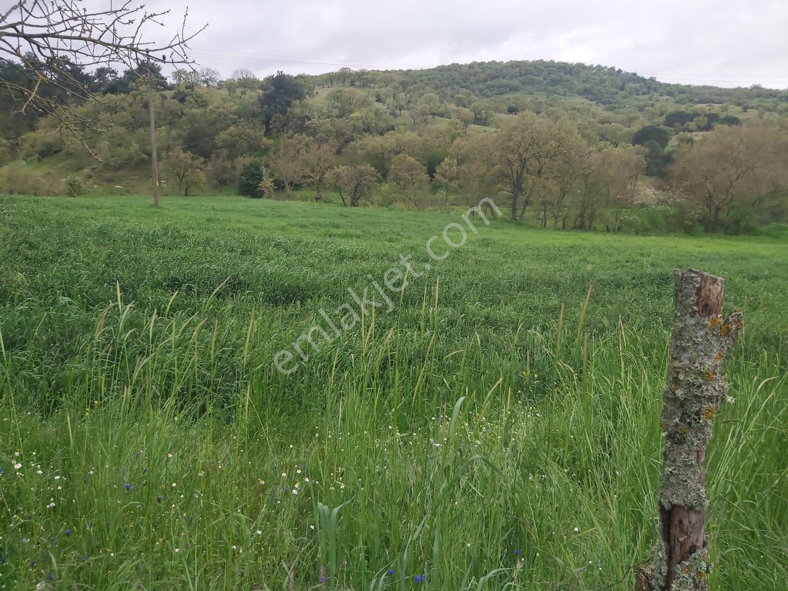 Balıkesir İvrindi Mallıca Mahallesi 6288m2 Satılık Tarla - Görsel 22