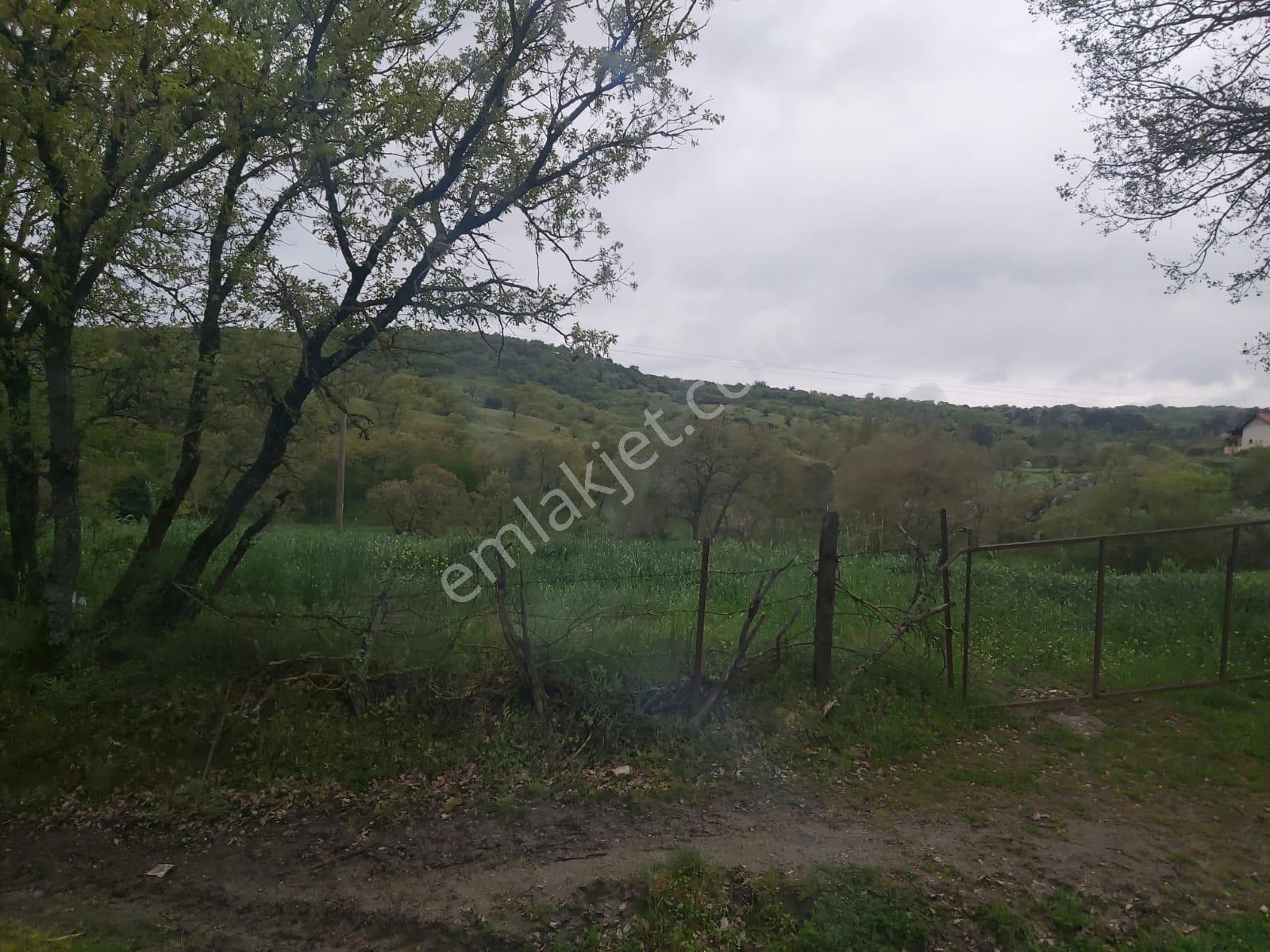 Balıkesir İvrindi Mallıca Mahallesi 6288m2 Satılık Tarla - Görsel 17