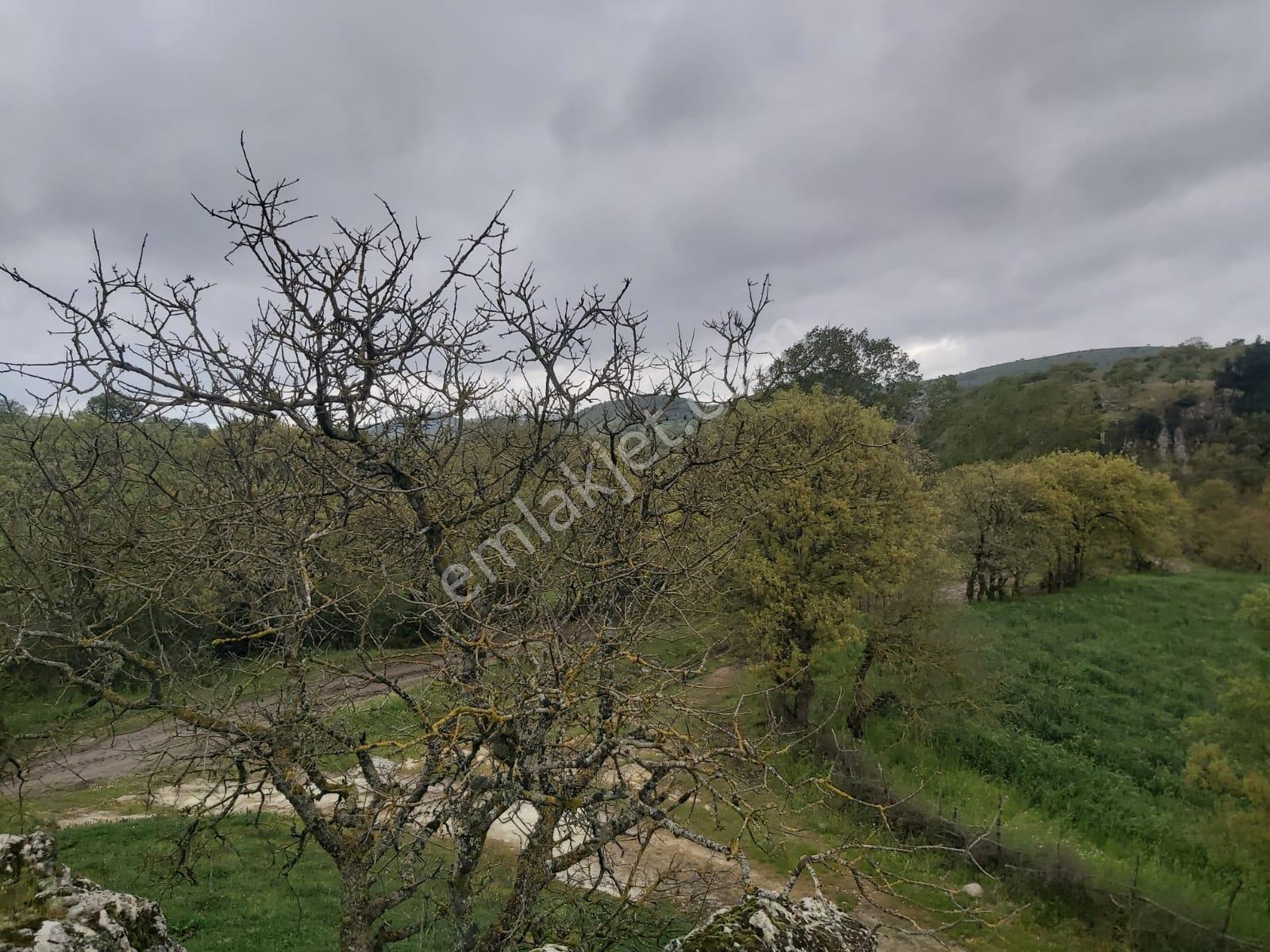 Balıkesir İvrindi Mallıca Mahallesi 6288m2 Satılık Tarla - Görsel 18