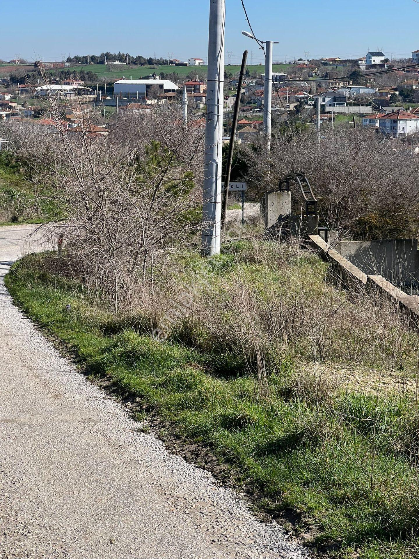 Ayvalı Köyünde Yatırım Fırsatı İmarlı Satılık Arsa - Görsel 7
