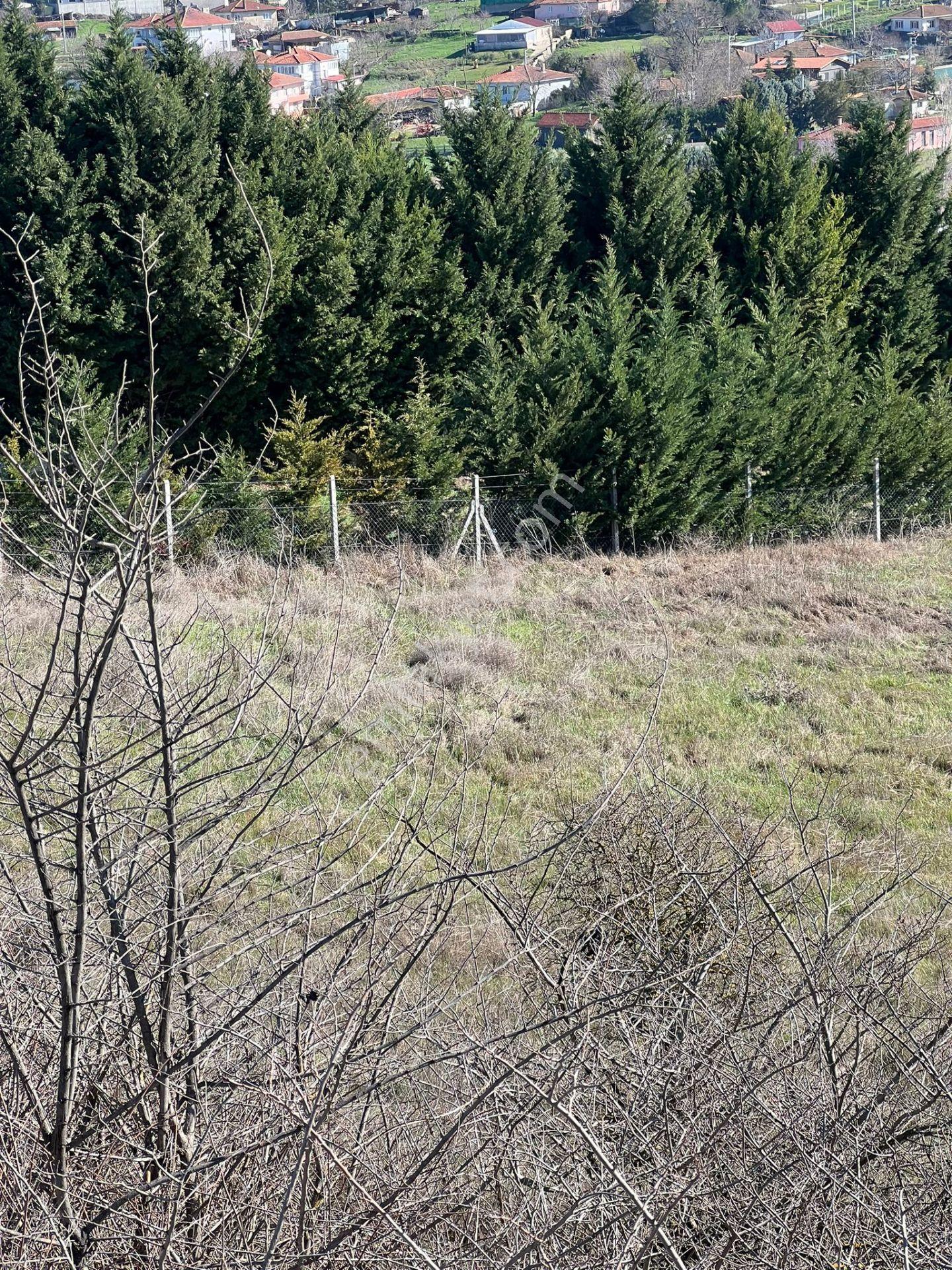 Ayvalı Köyünde Yatırım Fırsatı İmarlı Satılık Arsa - Görsel 5