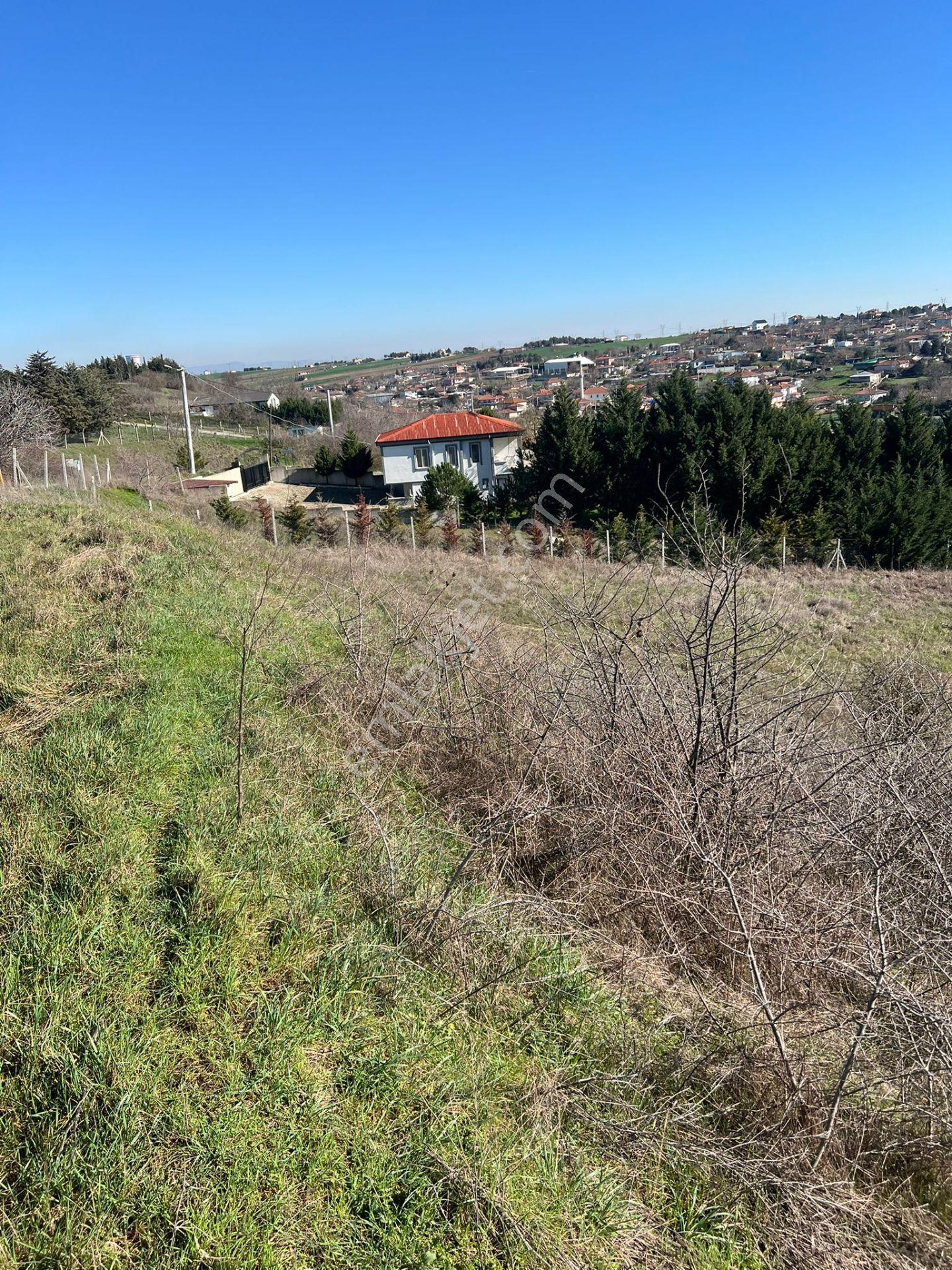 Ayvalı Köyünde Yatırım Fırsatı İmarlı Satılık Arsa - Görsel 2