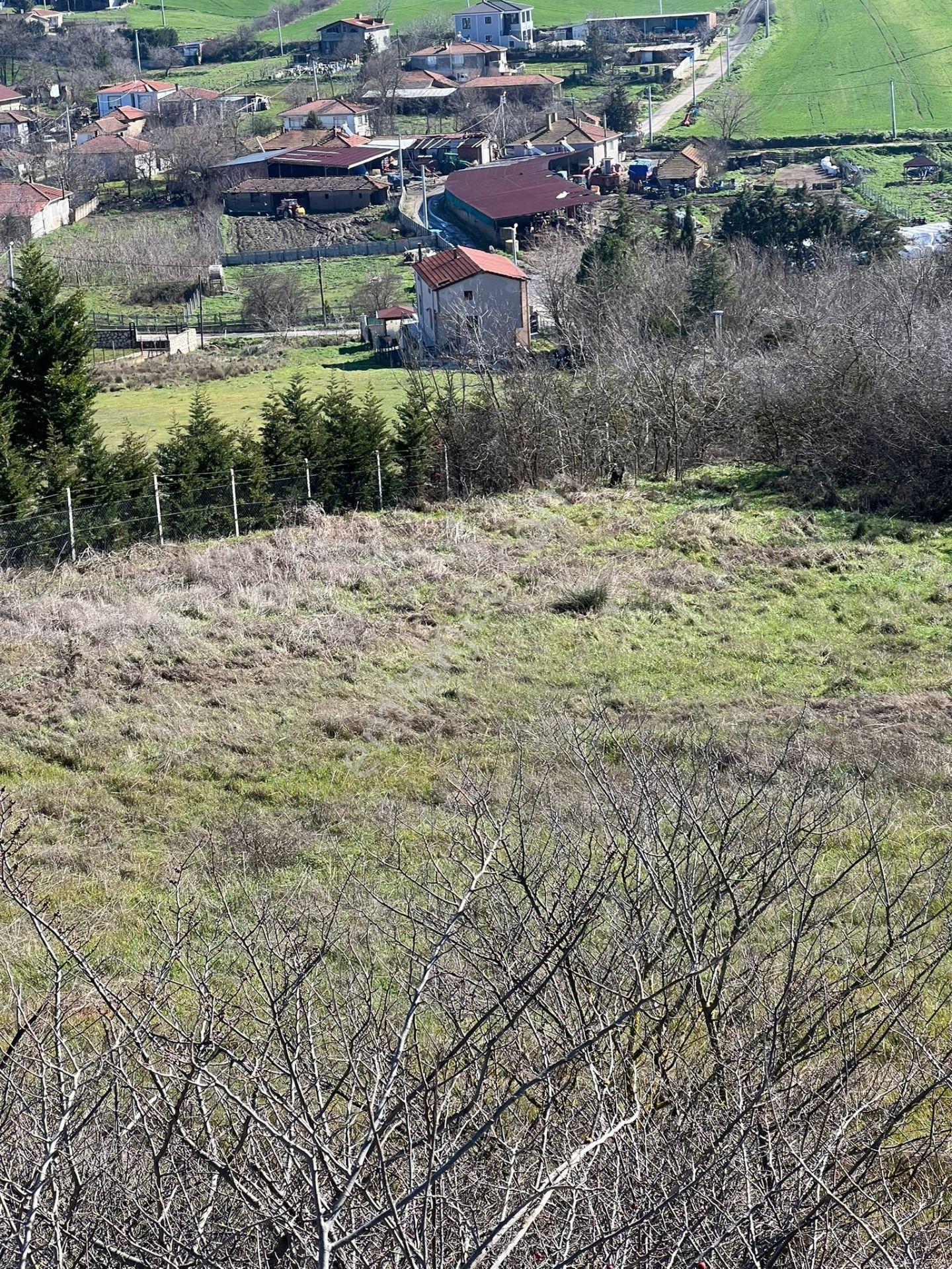Ayvalı Köyünde Yatırım Fırsatı İmarlı Satılık Arsa - Görsel 3