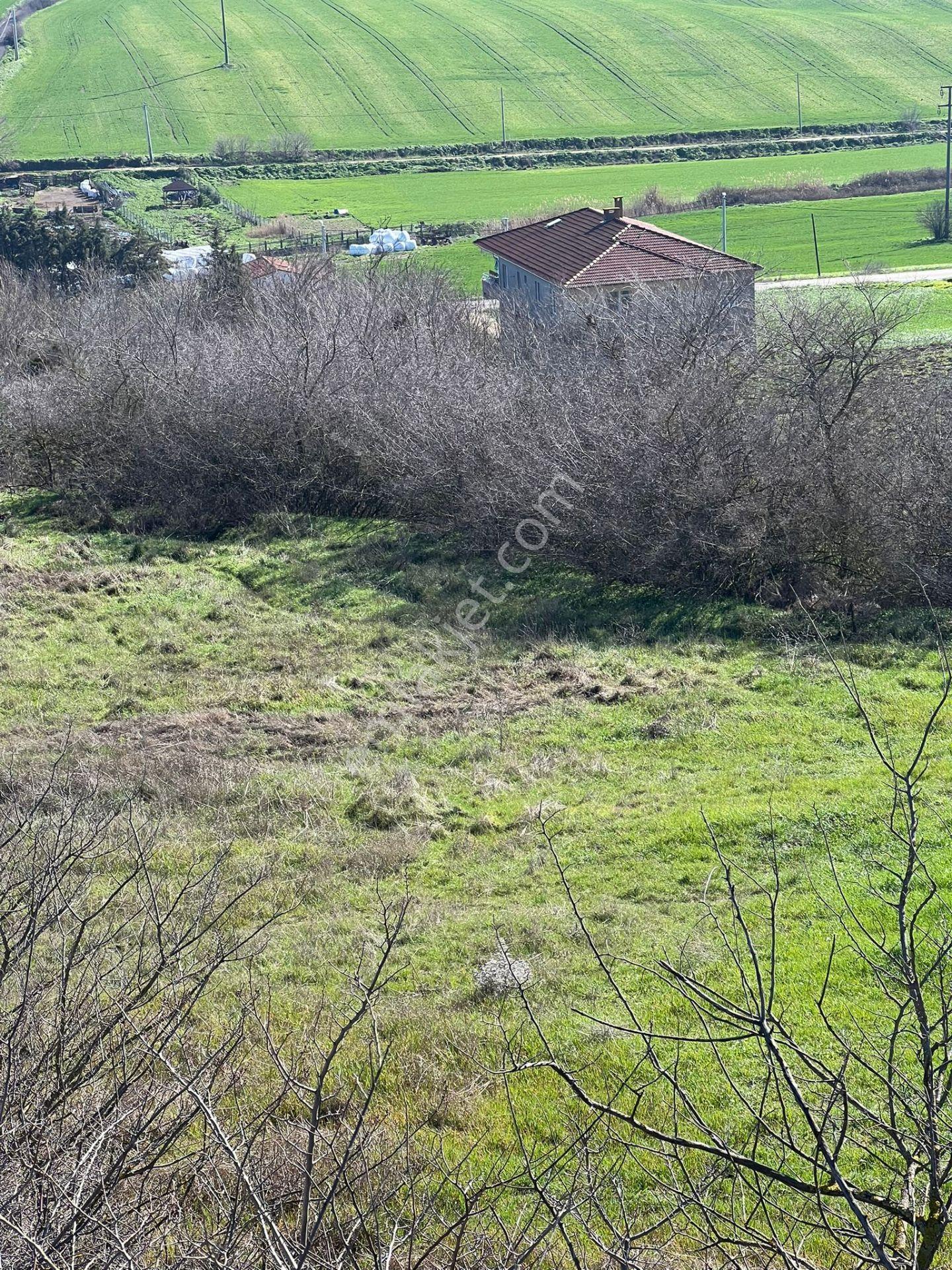Ayvalı Köyünde Yatırım Fırsatı İmarlı Satılık Arsa - Görsel 12