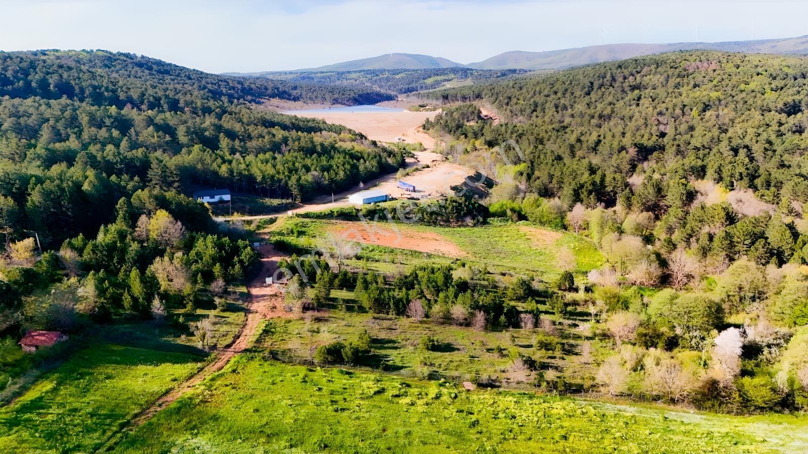 Ay Emlak'tan Yalova Armutlu Mecidiye Yatırımlık 3.554 M2 Tarla - Görsel 11