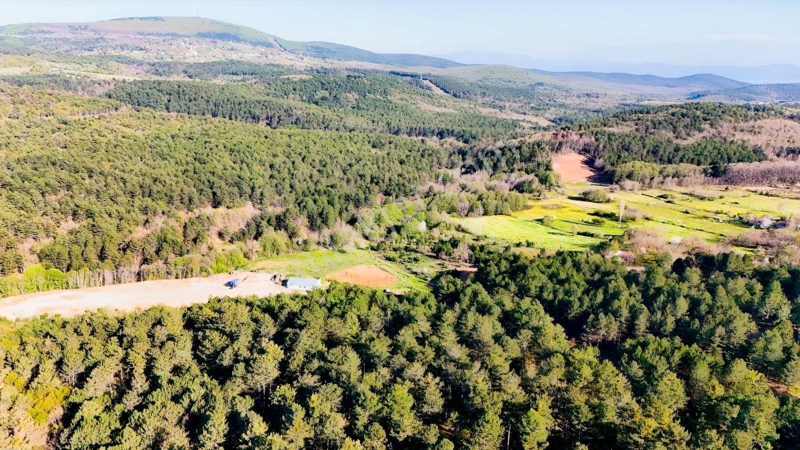 Ay Emlak'tan Yalova Armutlu Mecidiye Yatırımlık 3.554 M2 Tarla - Görsel 10