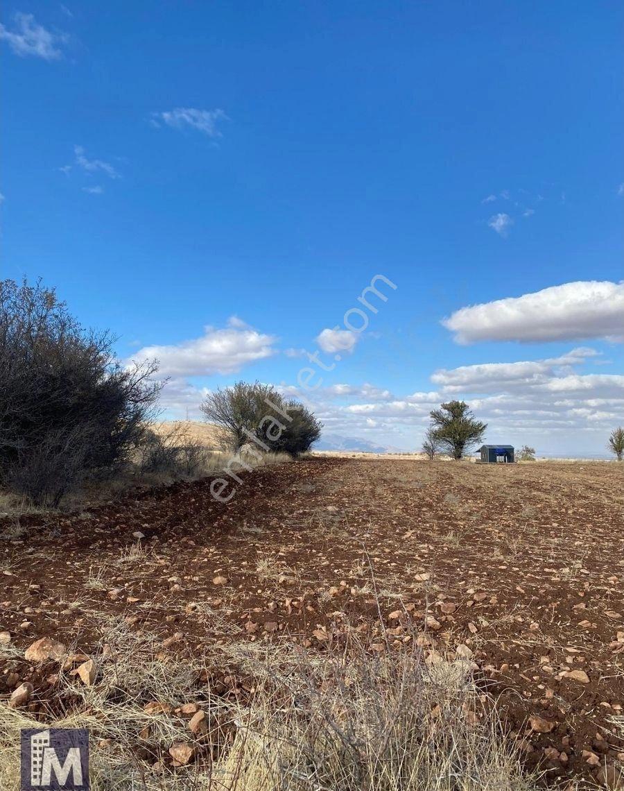 Bu Fiyata Yok!!! Morcalı Mevkii 20 Km Uzaklıkta 5.206 M² Satılık Hobi Bahçesi - Görsel 19