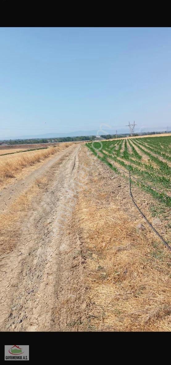 Mustafakemalpaşa Koşuboğazı Nda Köye Yakın Bölünmüş Tek Tapu
