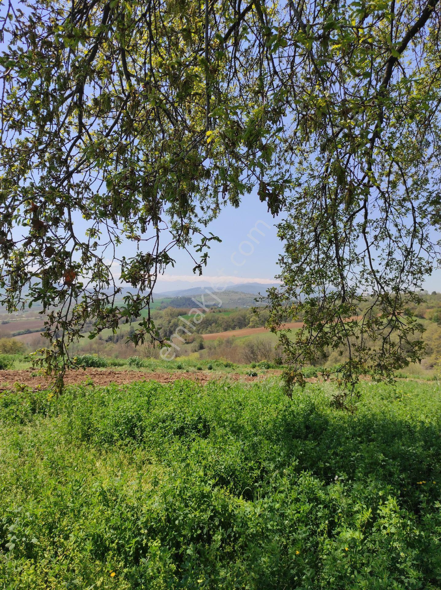 Yenişehir Orhangazi Yoluna Cephe Yatırımlık Tarla - Görsel 12