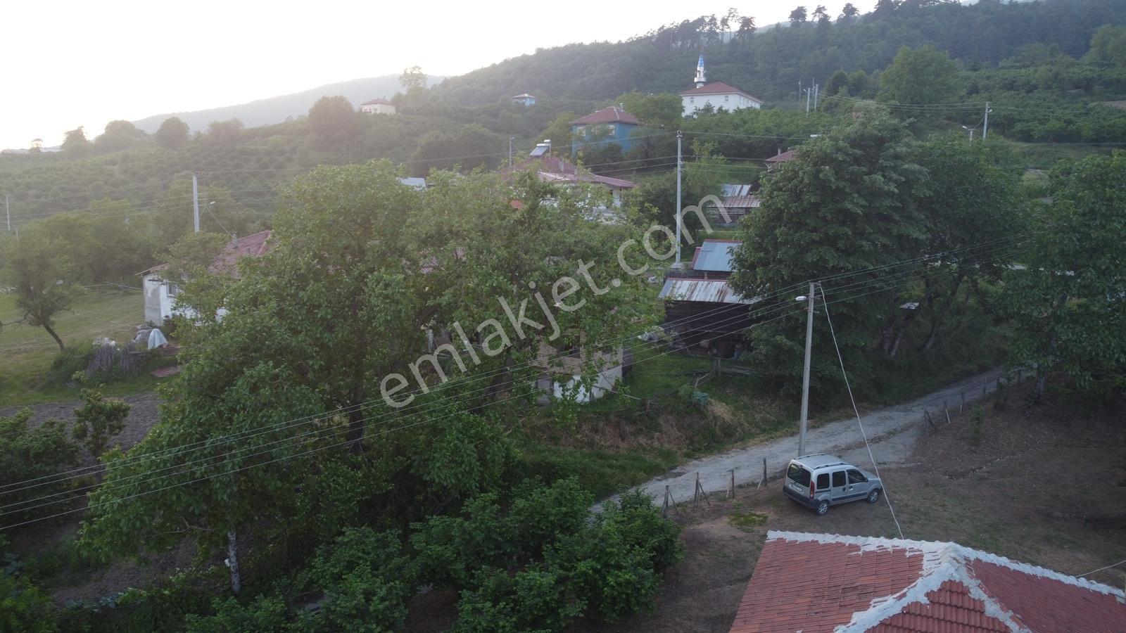Akyazı Madenler Köyünde Fındık Bahçesi Ve Ev - Görsel 4