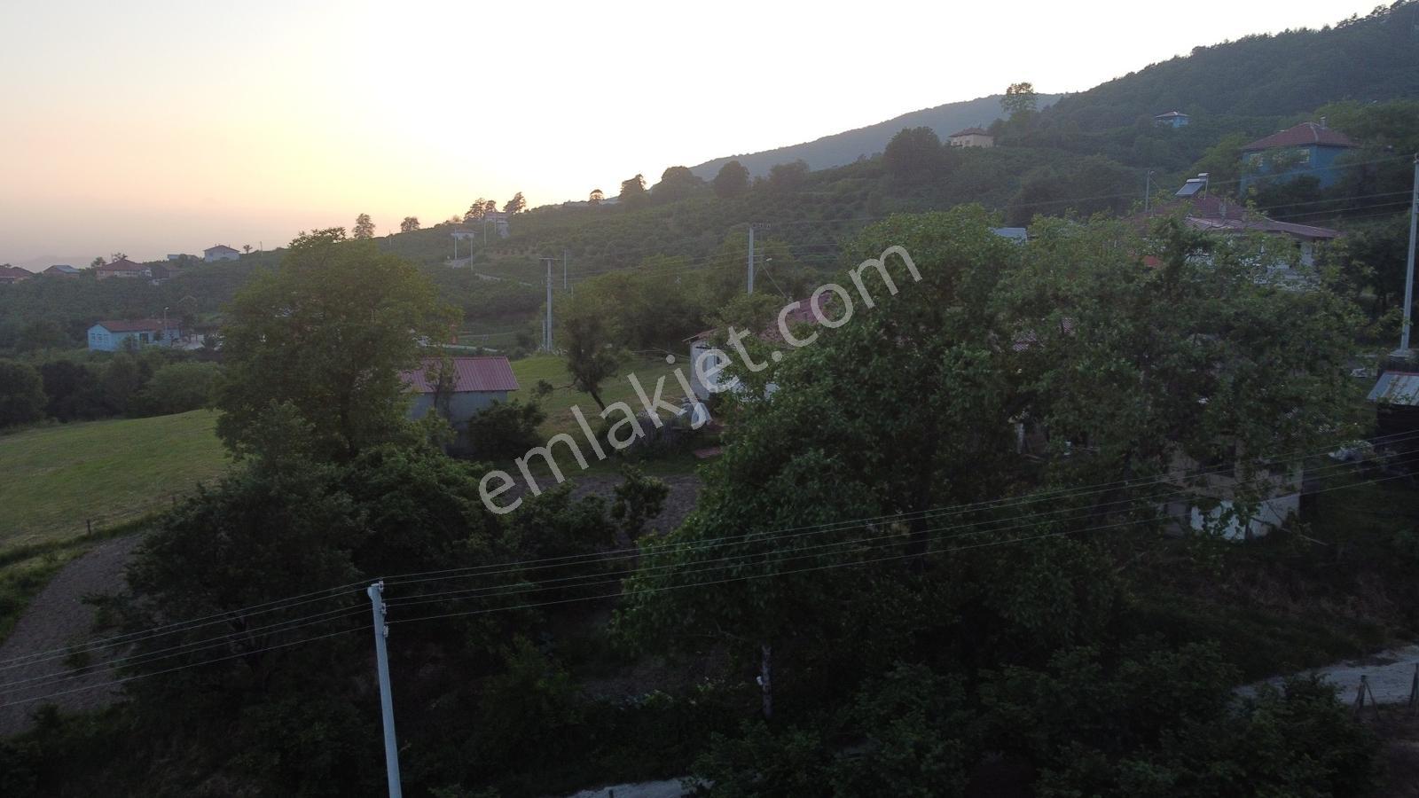 Akyazı Madenler Köyünde Fındık Bahçesi Ve Ev - Görsel 8