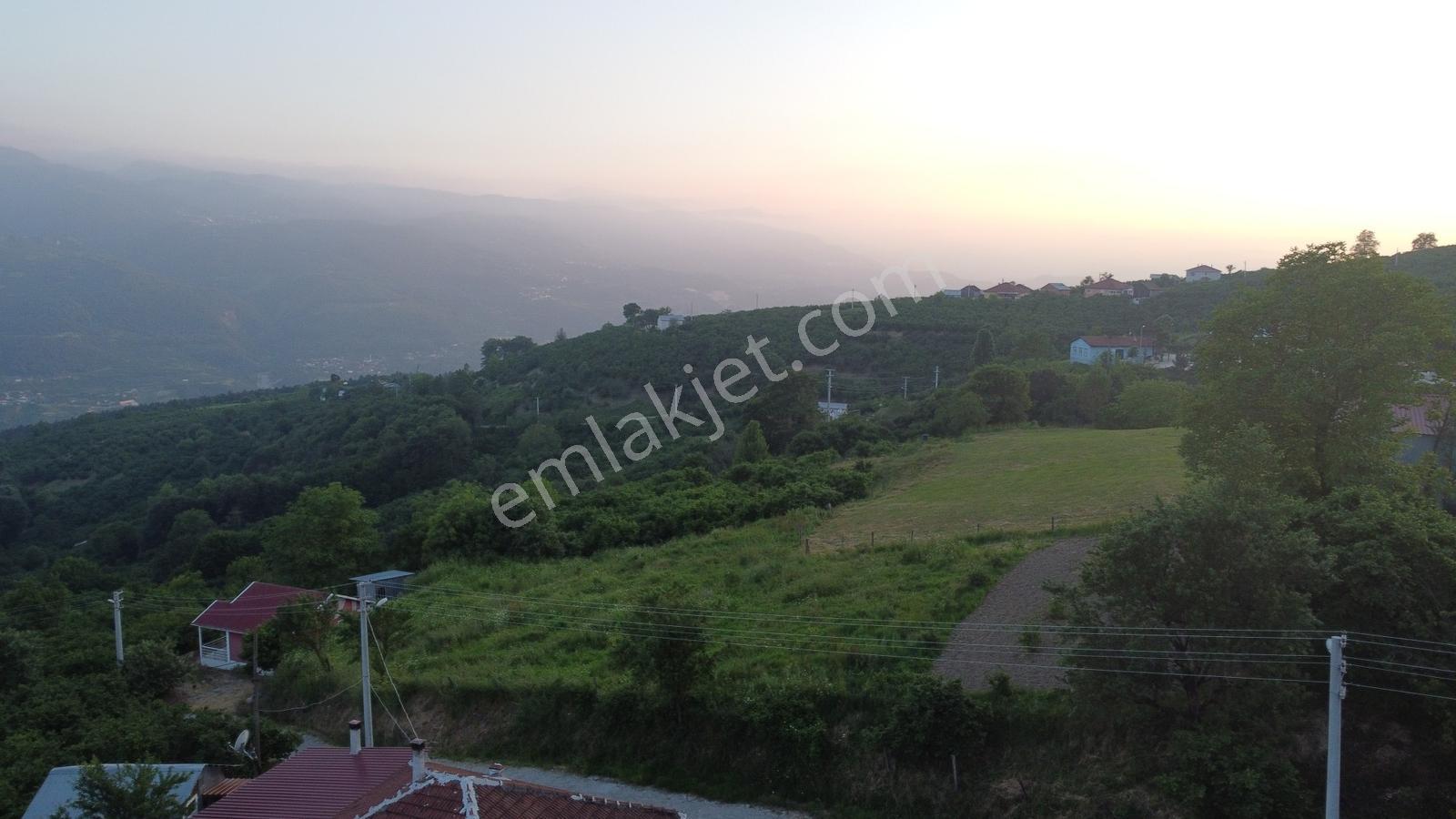 Akyazı Madenler Köyünde Fındık Bahçesi Ve Ev - Görsel 9