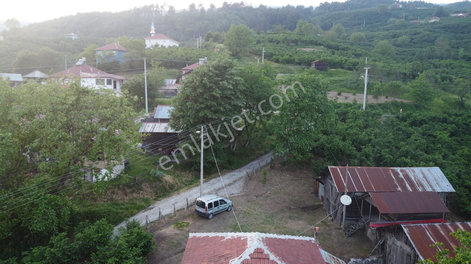 Akyazı Madenler Köyünde Fındık Bahçesi Ve Ev - Görsel 31