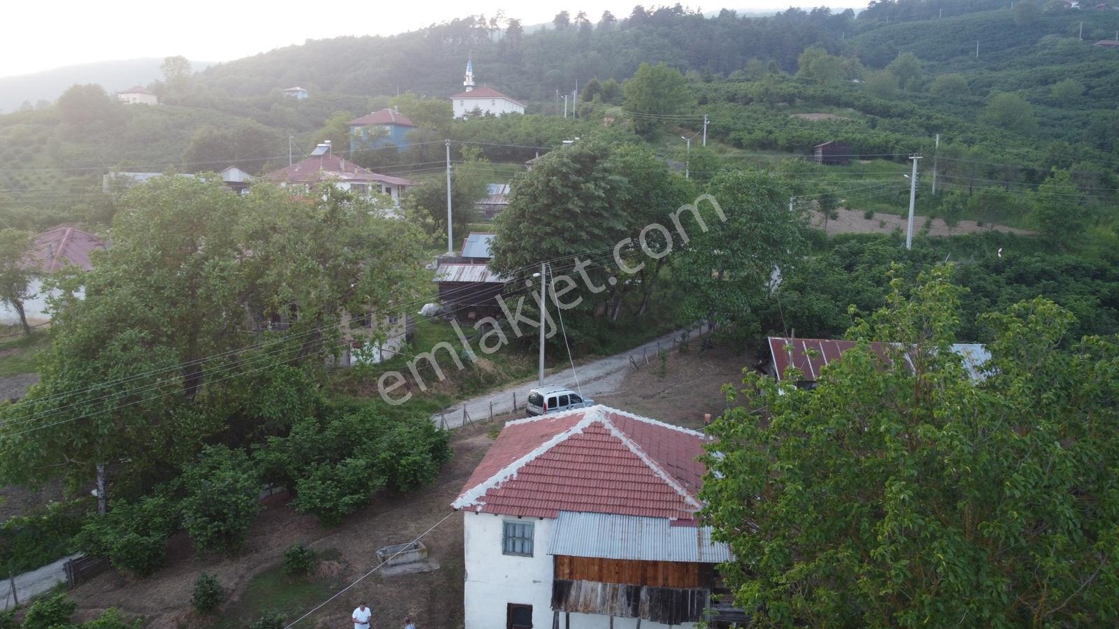 Akyazı Madenler Köyünde Fındık Bahçesi Ve Ev - Görsel 5