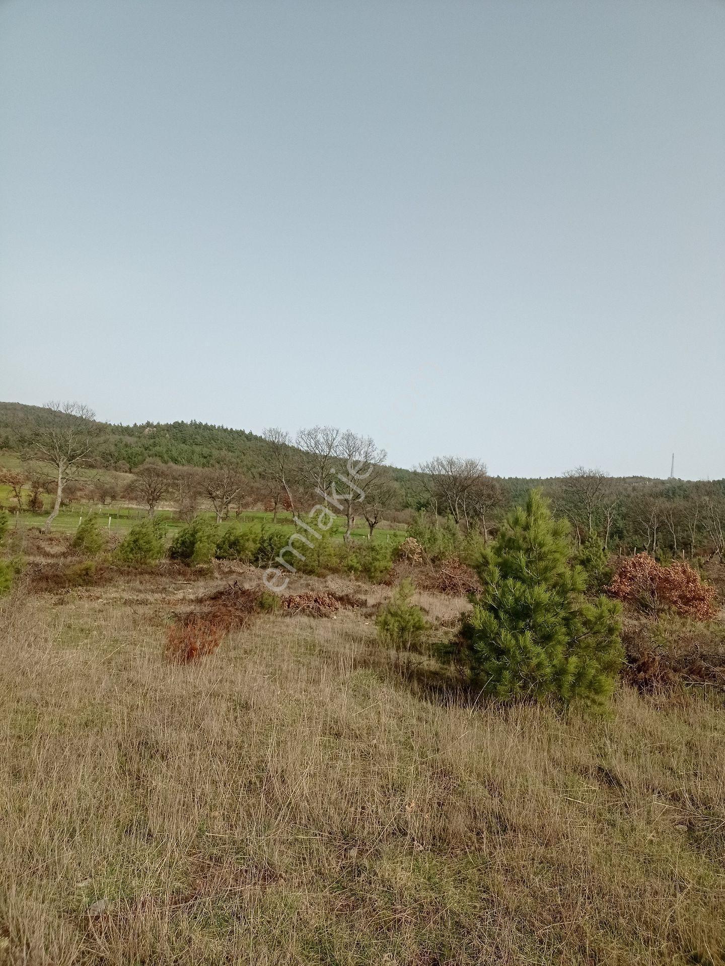 Çanakkale'nin Parlayan Yıldızı ! 14.544m² Tek Parsel - Görsel 6