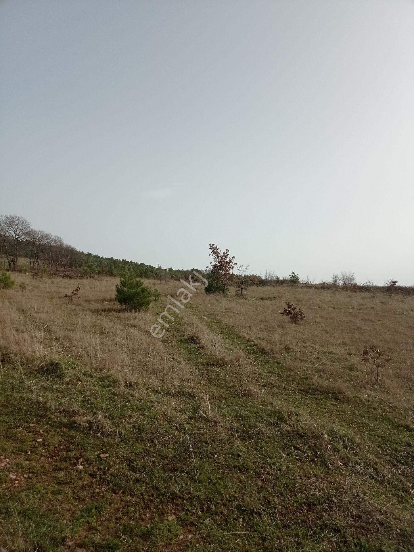 Çanakkale'nin Parlayan Yıldızı ! 14.544m² Tek Parsel - Görsel 20