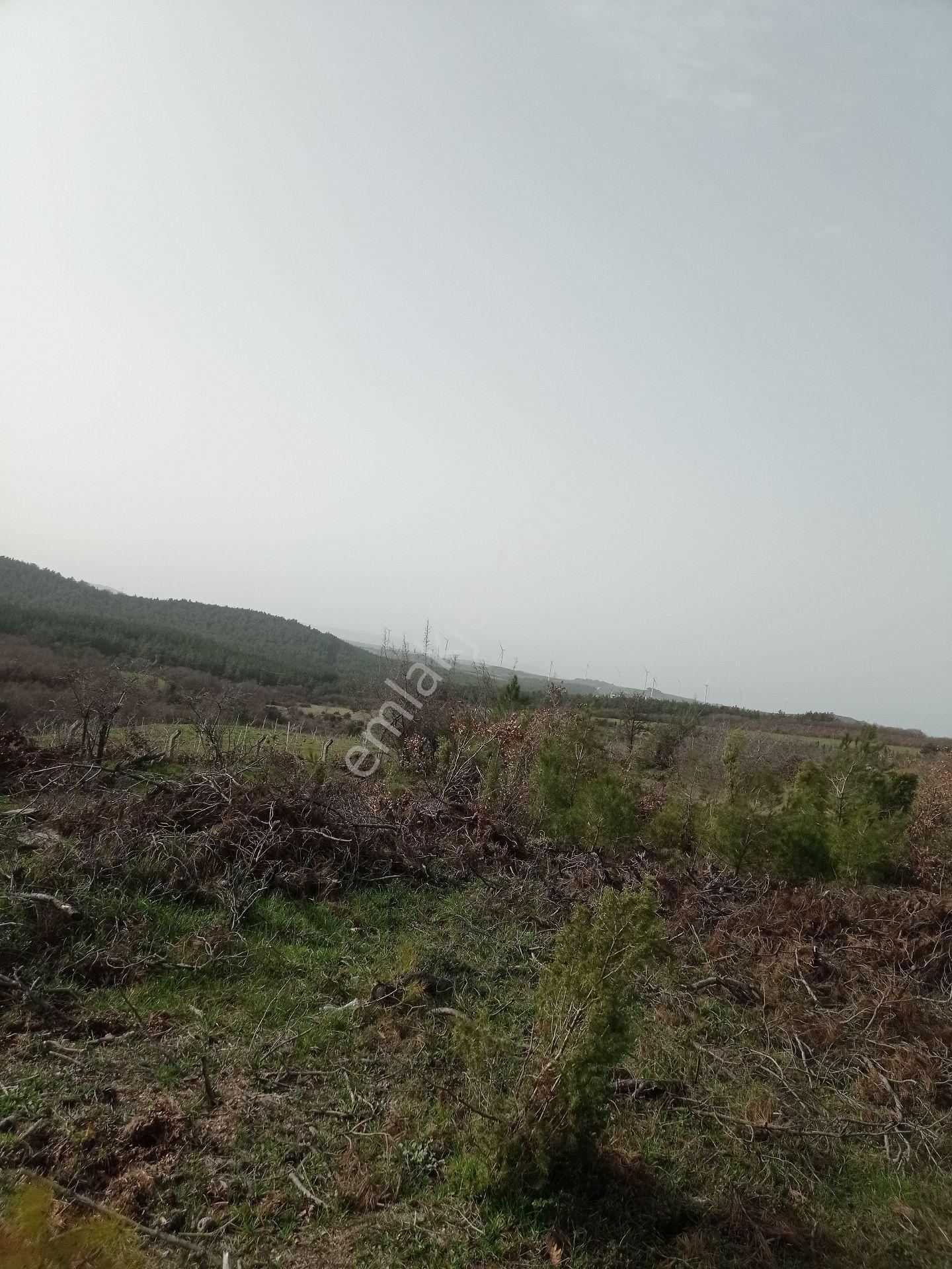 Çanakkale'nin Parlayan Yıldızı ! 14.544m² Tek Parsel - Görsel 3