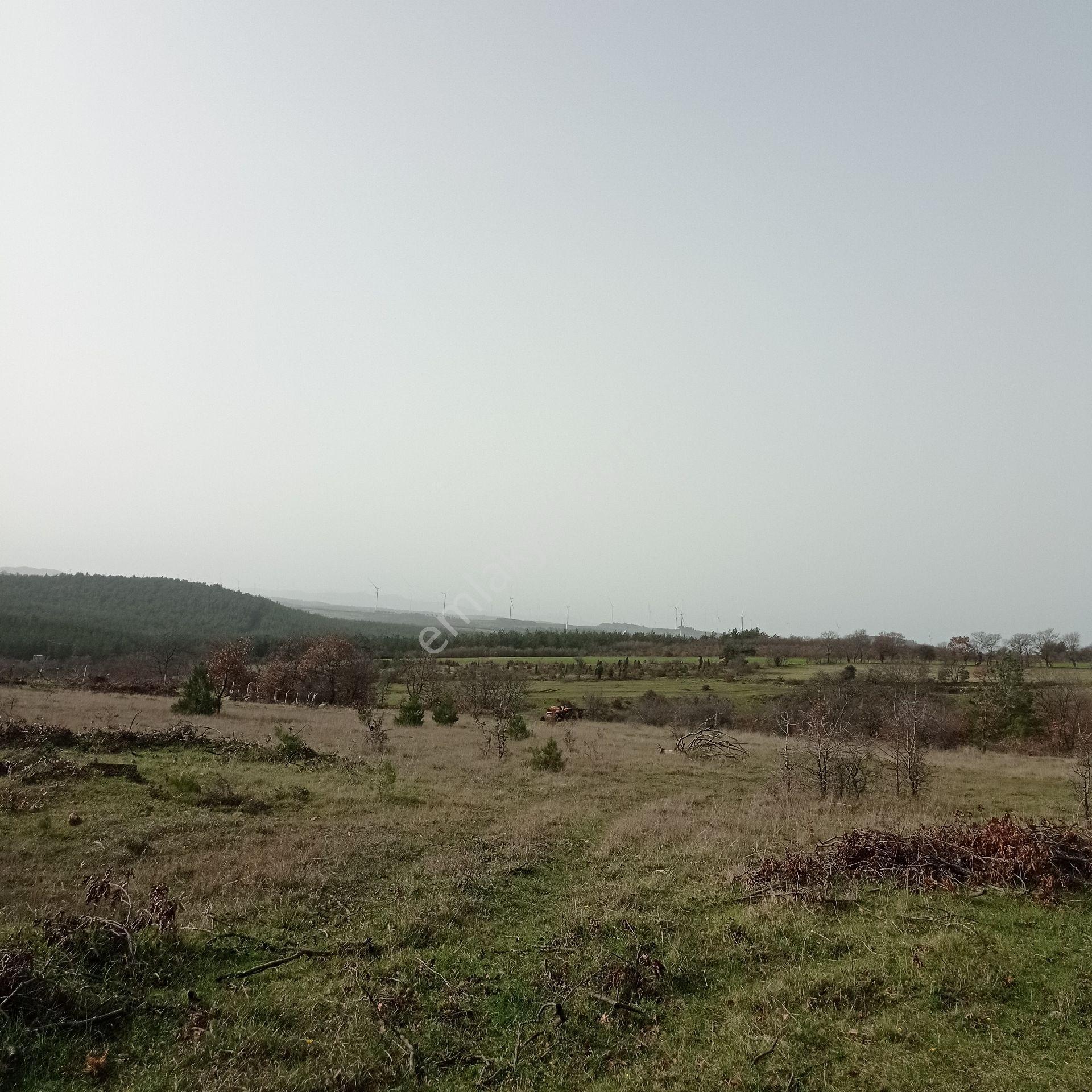 Çanakkale'nin Parlayan Yıldızı ! 14.544m² Tek Parsel - Görsel 18