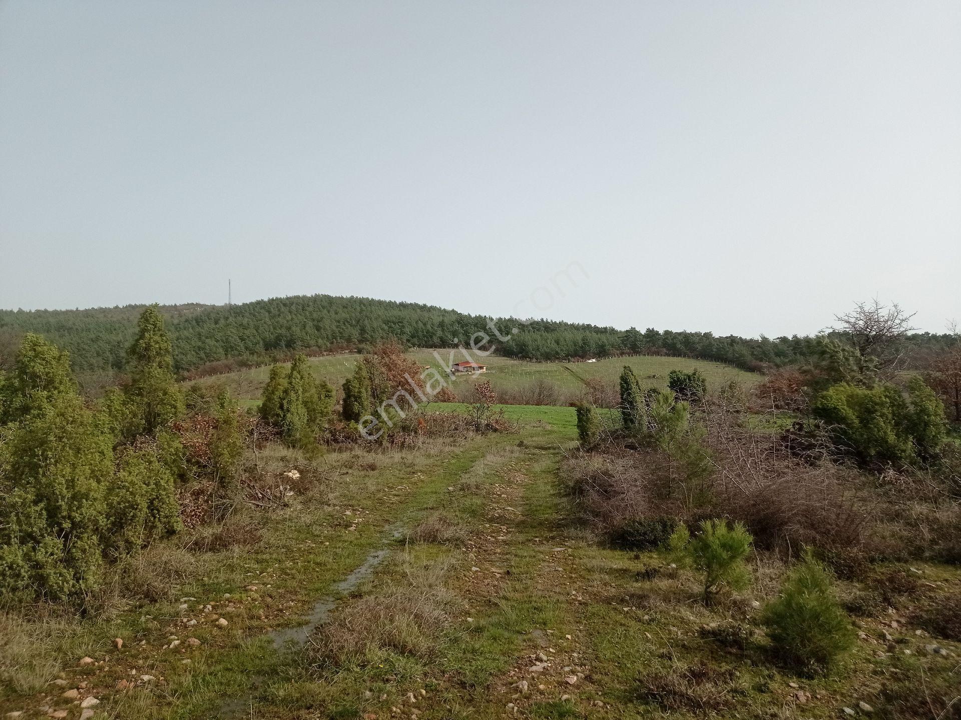 Çanakkale'nin Parlayan Yıldızı ! 14.544m² Tek Parsel - Görsel 14