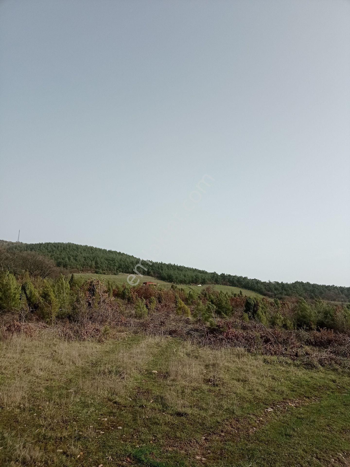 Çanakkale'nin Parlayan Yıldızı ! 14.544m² Tek Parsel - Görsel 11