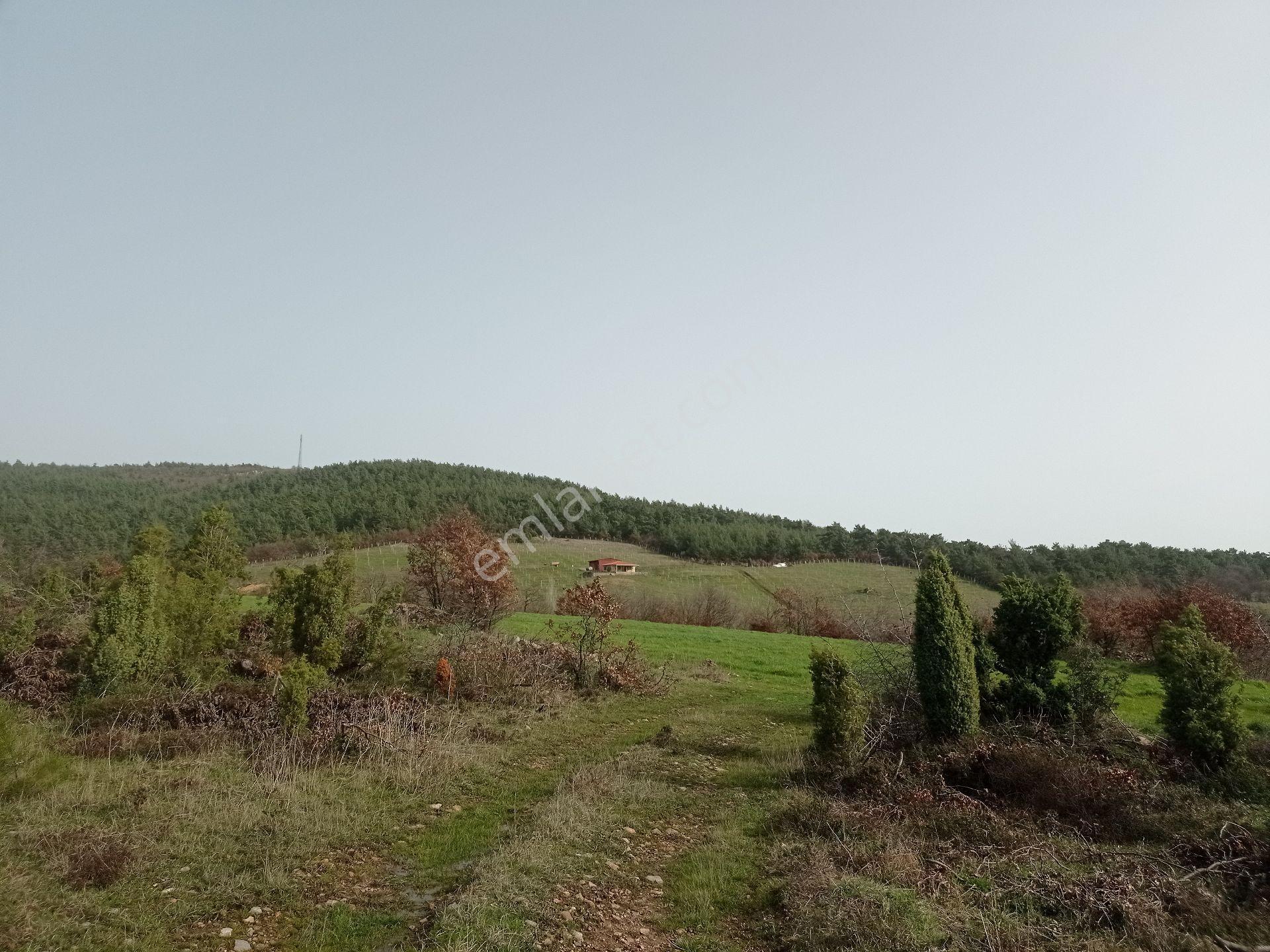 Çanakkale'nin Parlayan Yıldızı ! 14.544m² Tek Parsel - Görsel 4