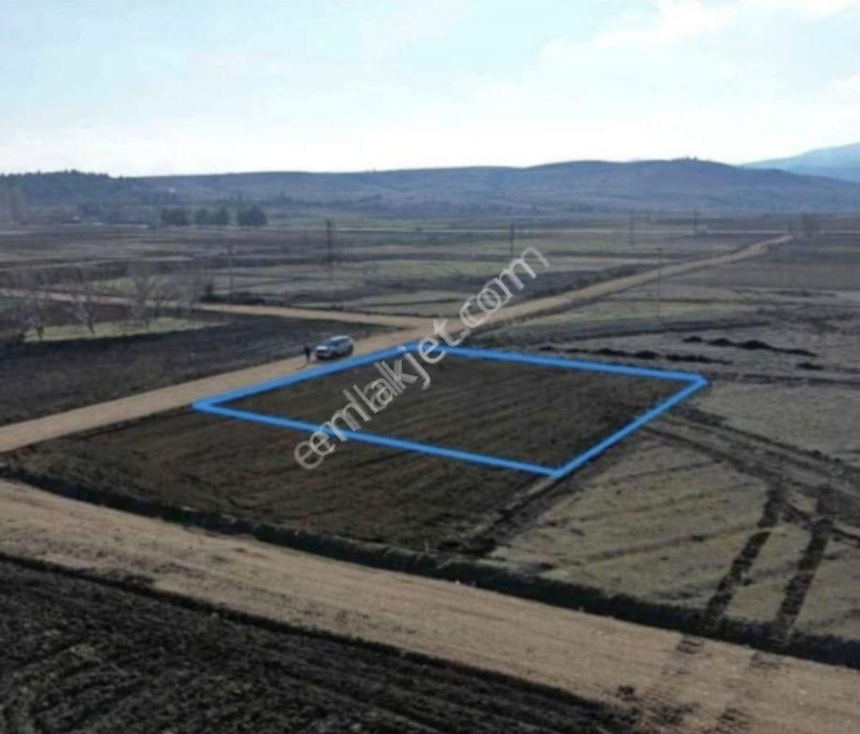 Yolu Ve Suyu Olan Satılık Hobi Bahçesine Uygun Tarla - Görsel 2
