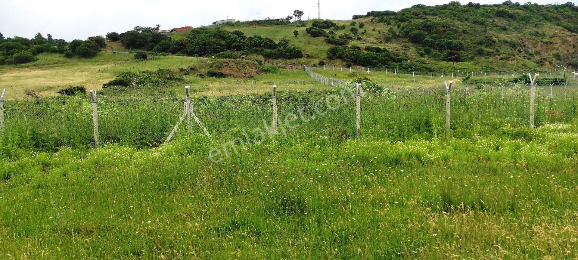 Beykoz Kabakoz Plajı Ve Yola Cephe 9.242m2 Emsalsiz Satılık Arsa - Görsel 8