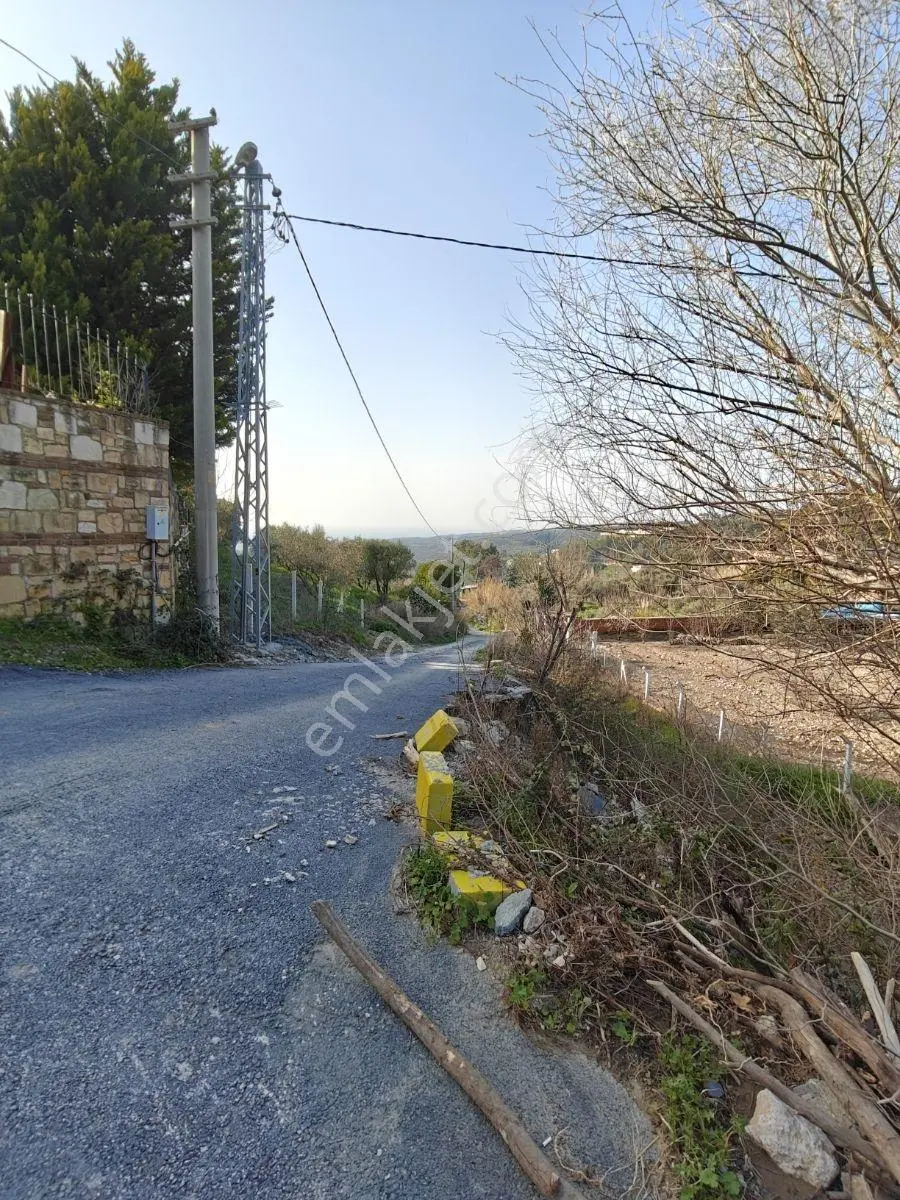 Söke Ağaçlı'da Deniz Manzaralı 11 Dönüm Tarla Ve Zeytinlik - Görsel 4